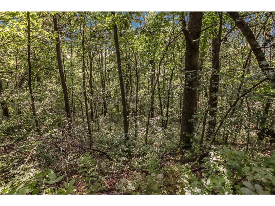 00 Joe Coulee Road Blair WI 54616 1595723 image19