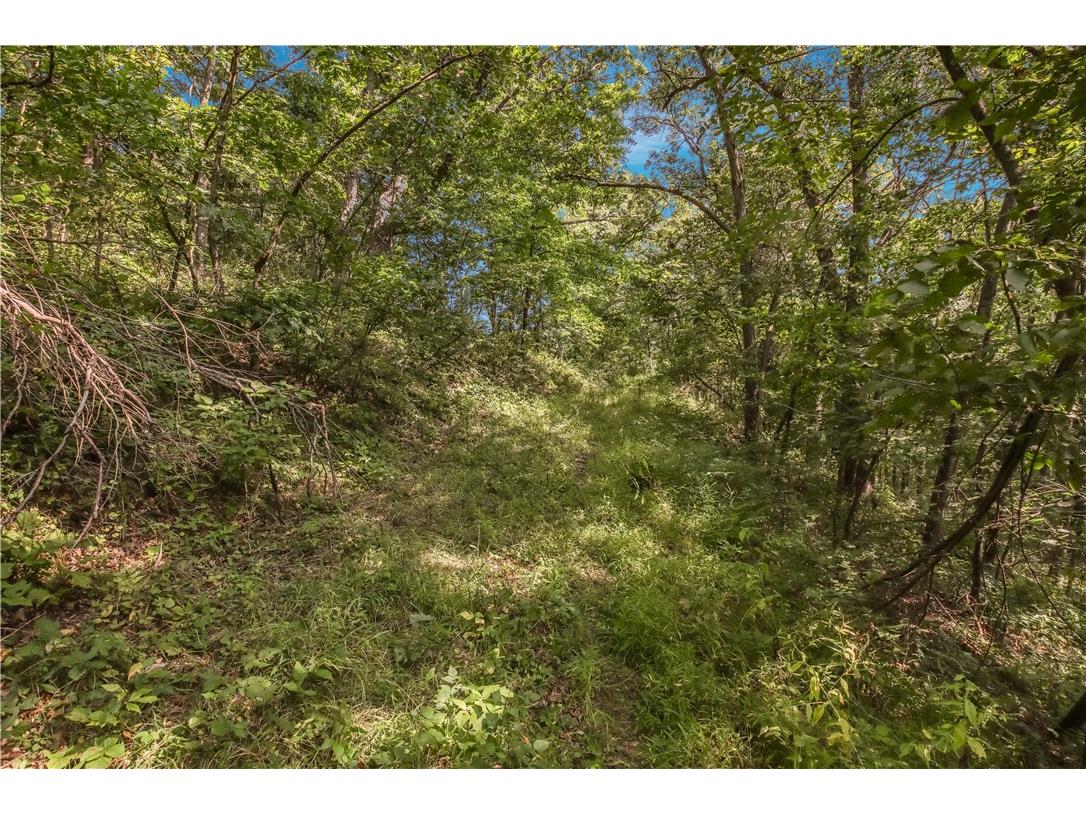 00 Joe Coulee Road Blair WI 54616 1595723 image20