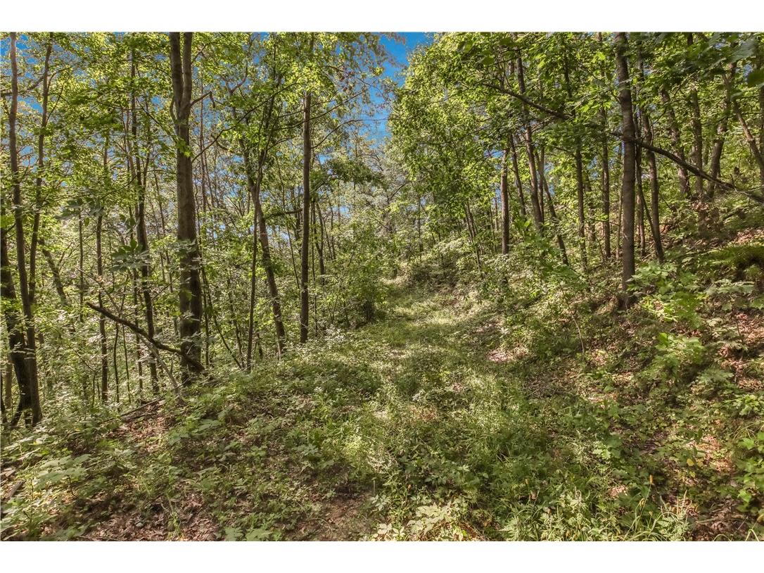 00 Joe Coulee Road Blair WI 54616 1595723 image21