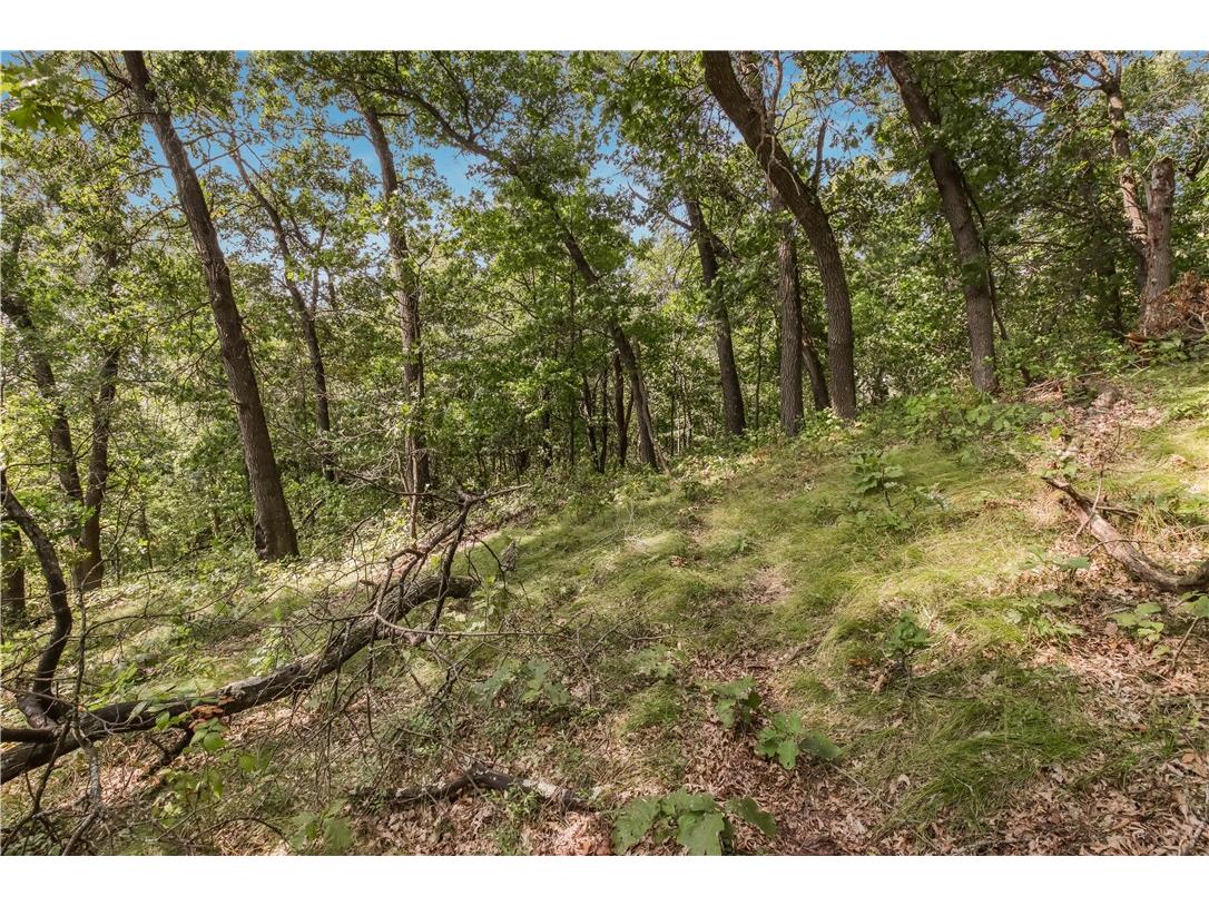 00 Joe Coulee Road Blair WI 54616 1595723 image22