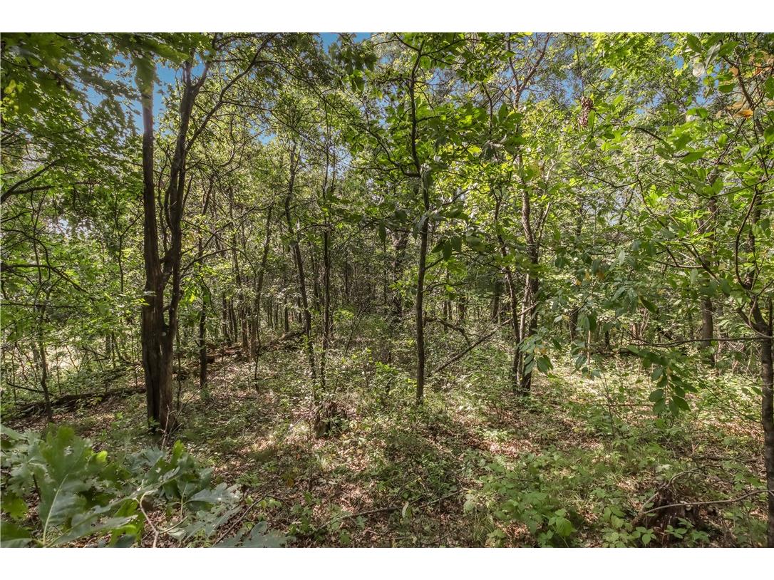 00 Joe Coulee Road Blair WI 54616 1595723 image23