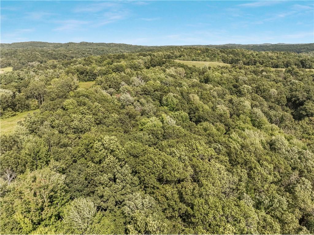 00 Joe Coulee Road Blair WI 54616 1595723 image30