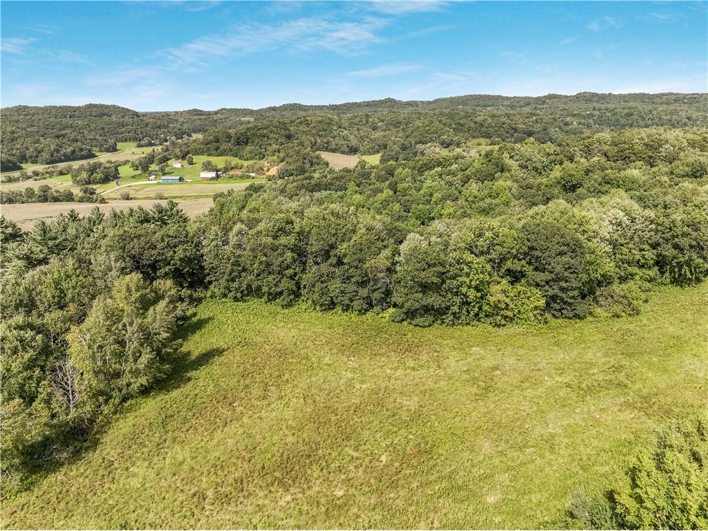 00 Joe Coulee Road Blair WI 54616 1595723 image31