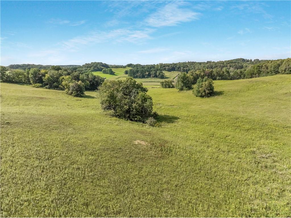 00 Joe Coulee Road Blair WI 54616 1595723 image9