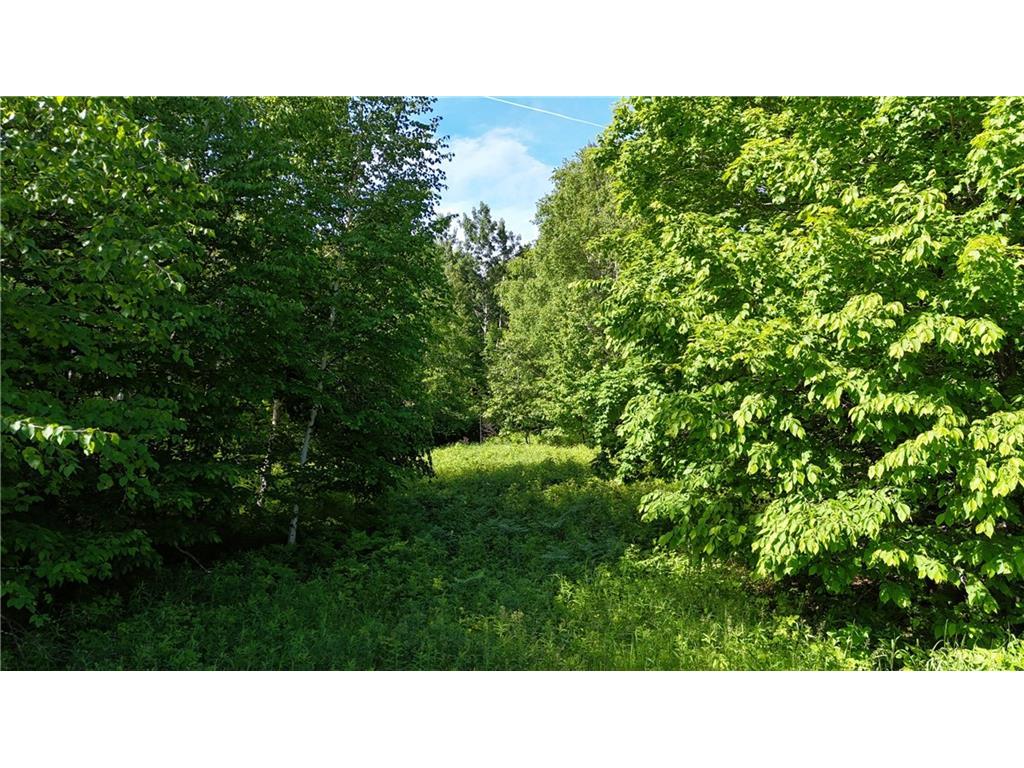 00 Lincoln Road Mason WI 54826 1582742 image1