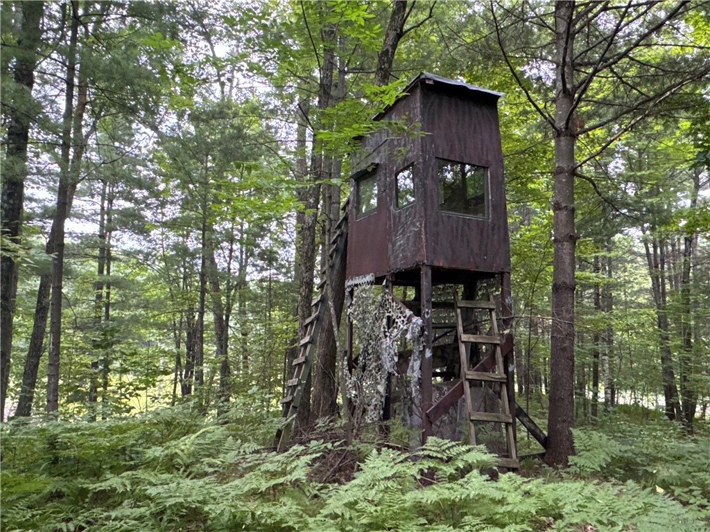 00 Mckinley St. Mckinley WI 54829 1594743 image1