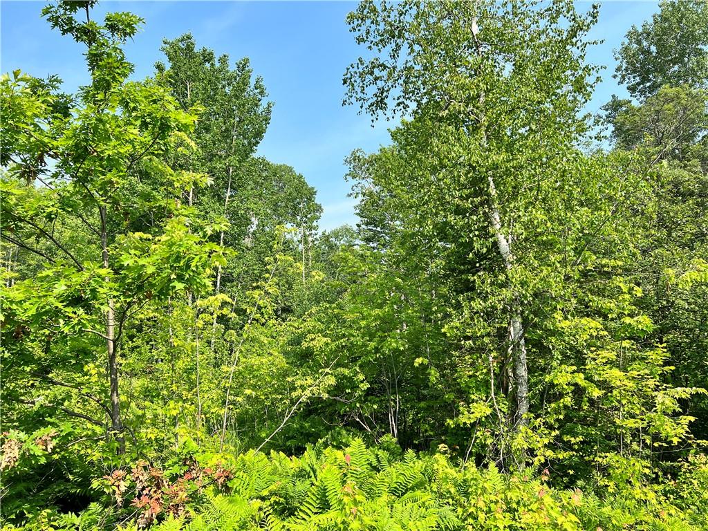 00 Minnesuing Acres Dr Lake Nebagamon WI 54849 - Hanson Creek 1574647 image1