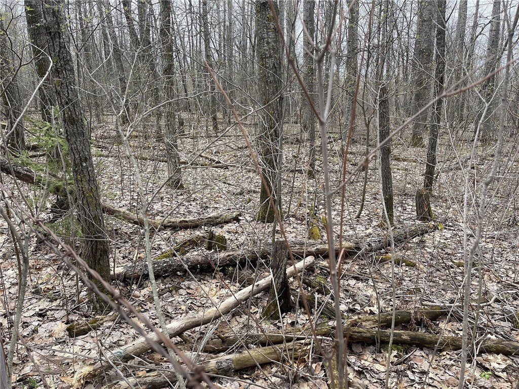 00 Nelson Road Danbury WI 54830 1570169 image1