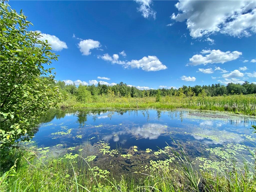 00 Reiske Road Hayward WI 54843 - Nelson Lake 1555029 image1