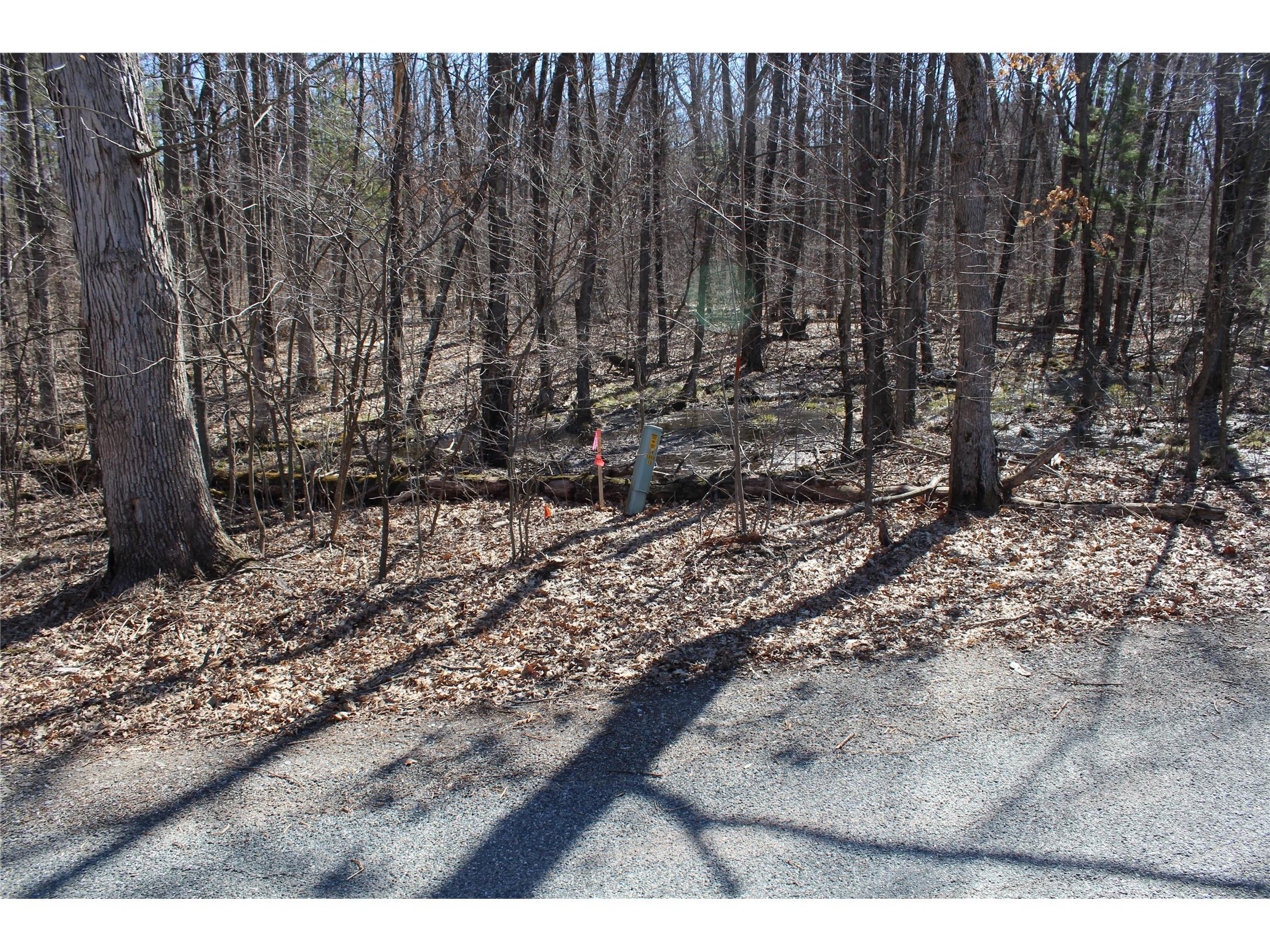 00 Resewood Ave. Lot - 3 Neillsville WI 54456 - BLACK RIVER 1599887 image10