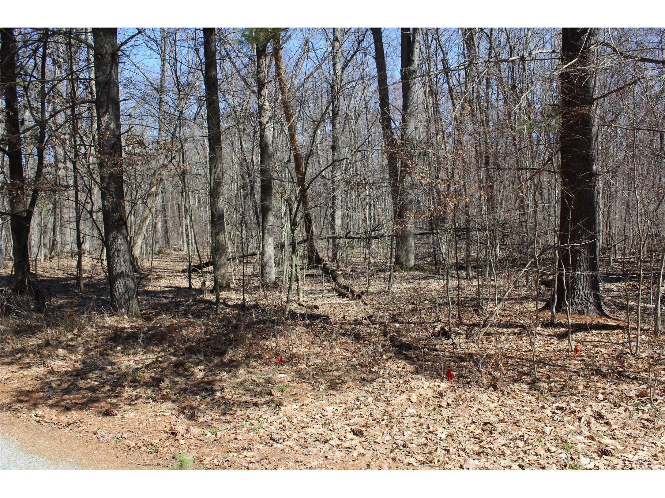 00 Resewood Ave. Lot - 3 Neillsville WI 54456 - BLACK RIVER 1599887 image13