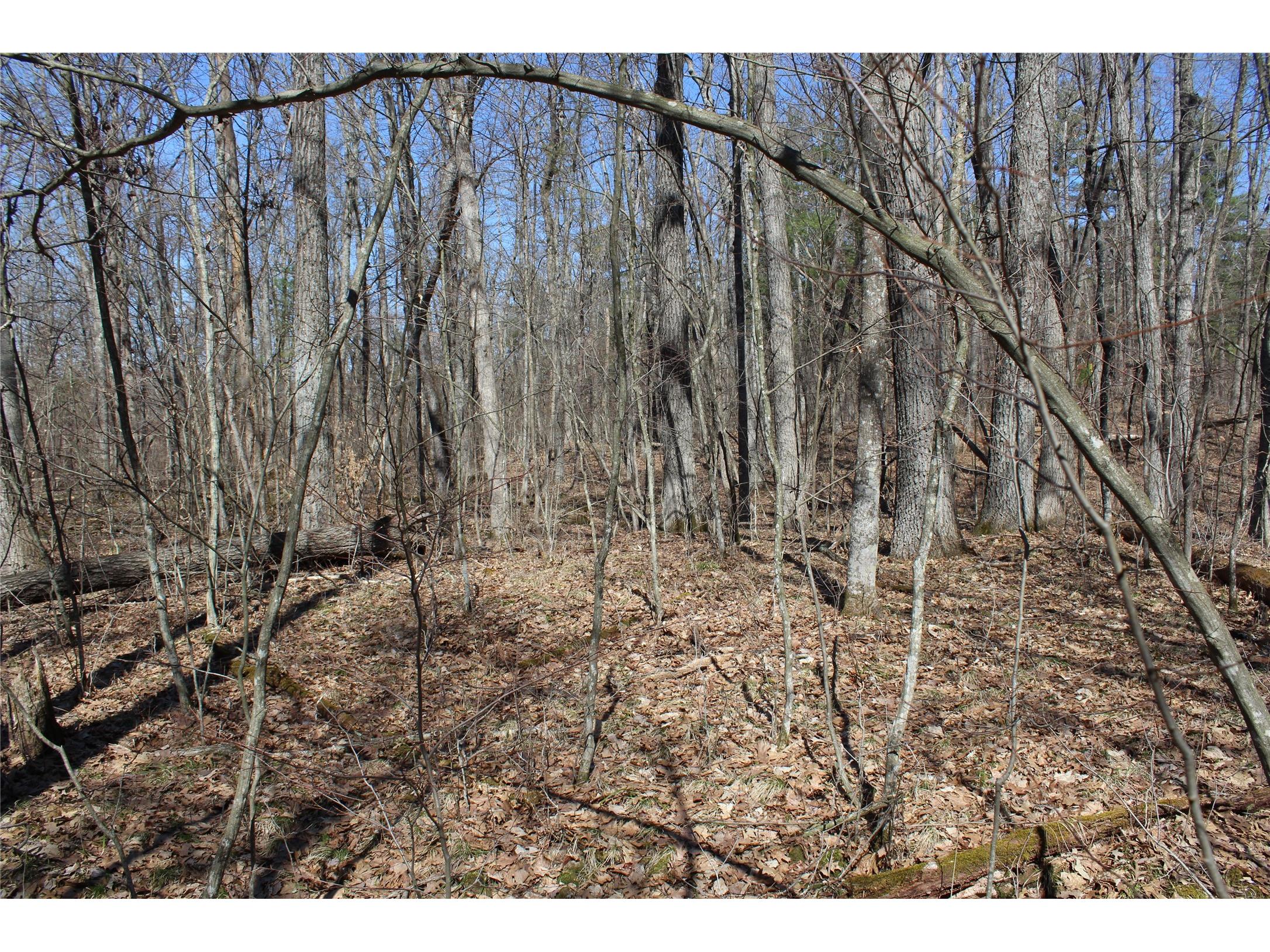 00 Resewood Ave. Lot - 3 Neillsville WI 54456 - BLACK RIVER 1599887 image14