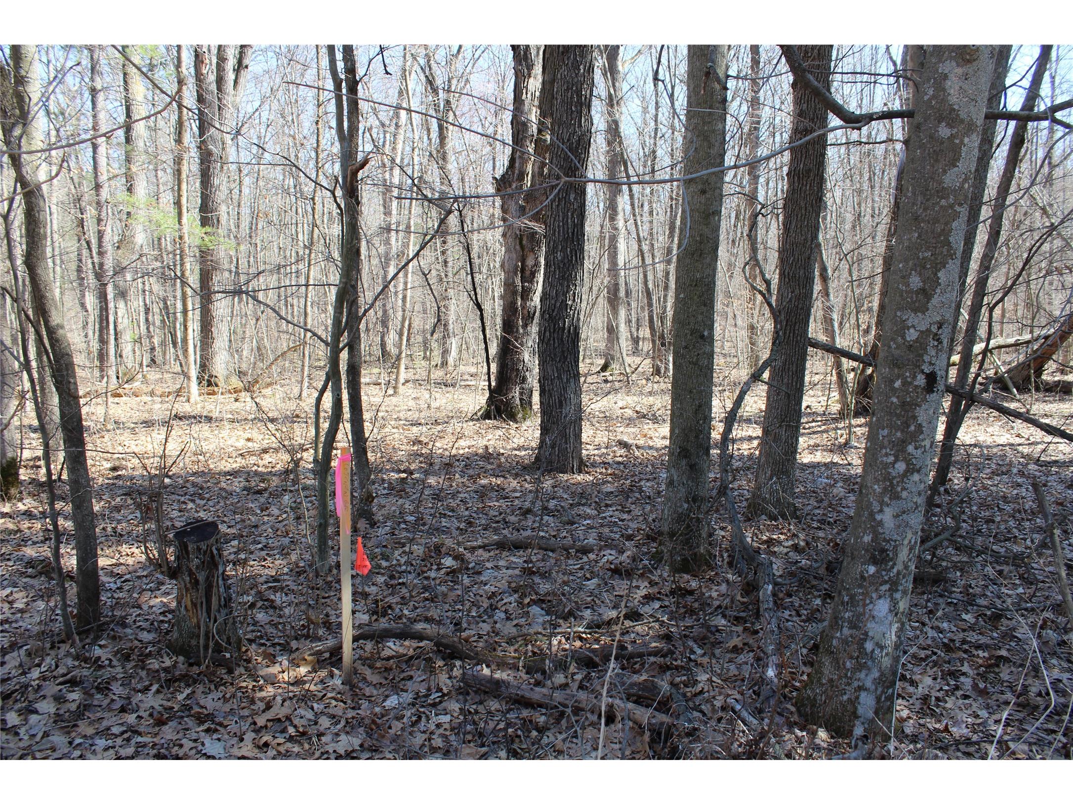 00 Resewood Ave. Lot - 3 Neillsville WI 54456 - BLACK RIVER 1599887 image2