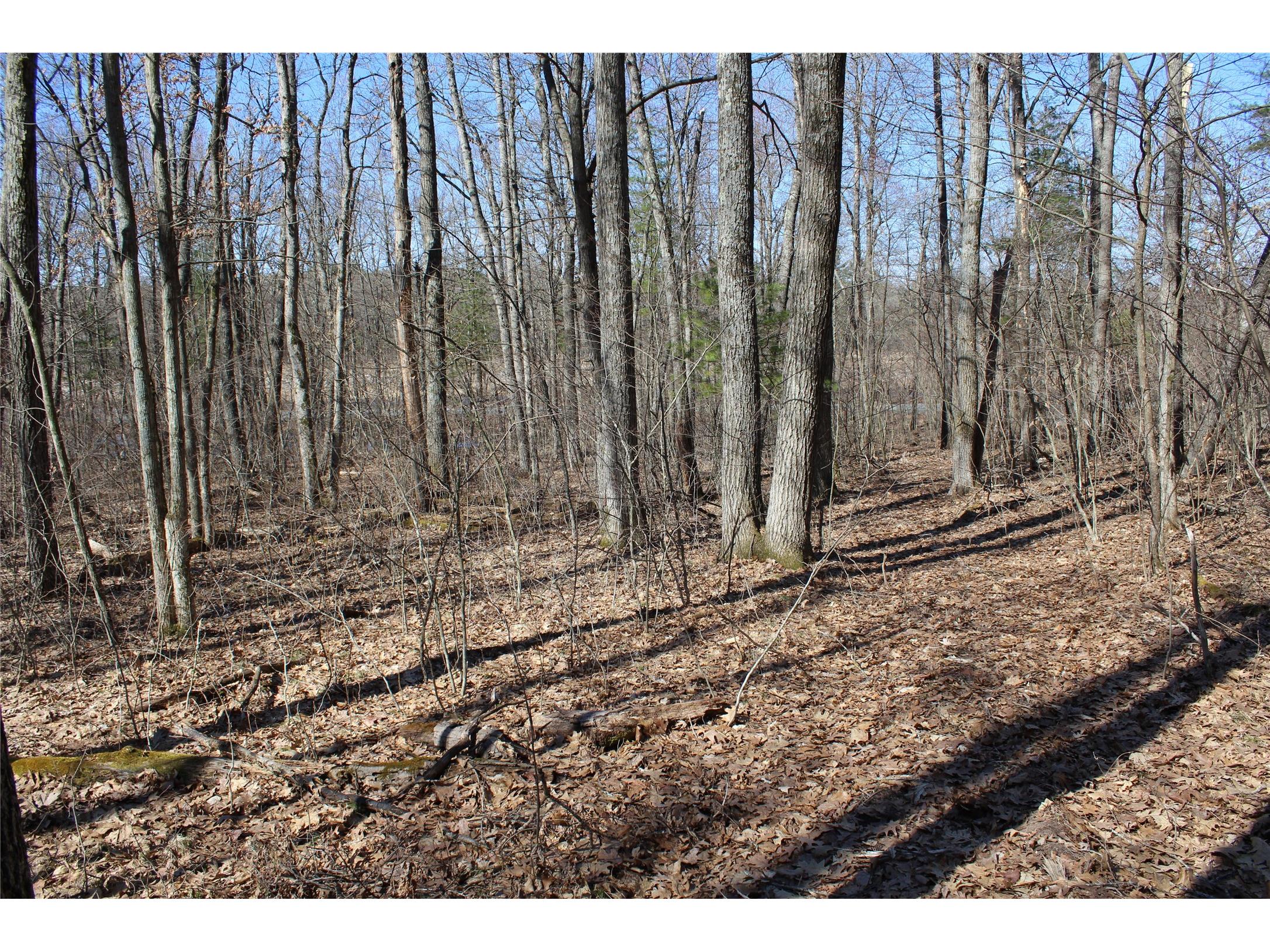00 Resewood Ave. Lot - 3 Neillsville WI 54456 - BLACK RIVER 1599887 image3