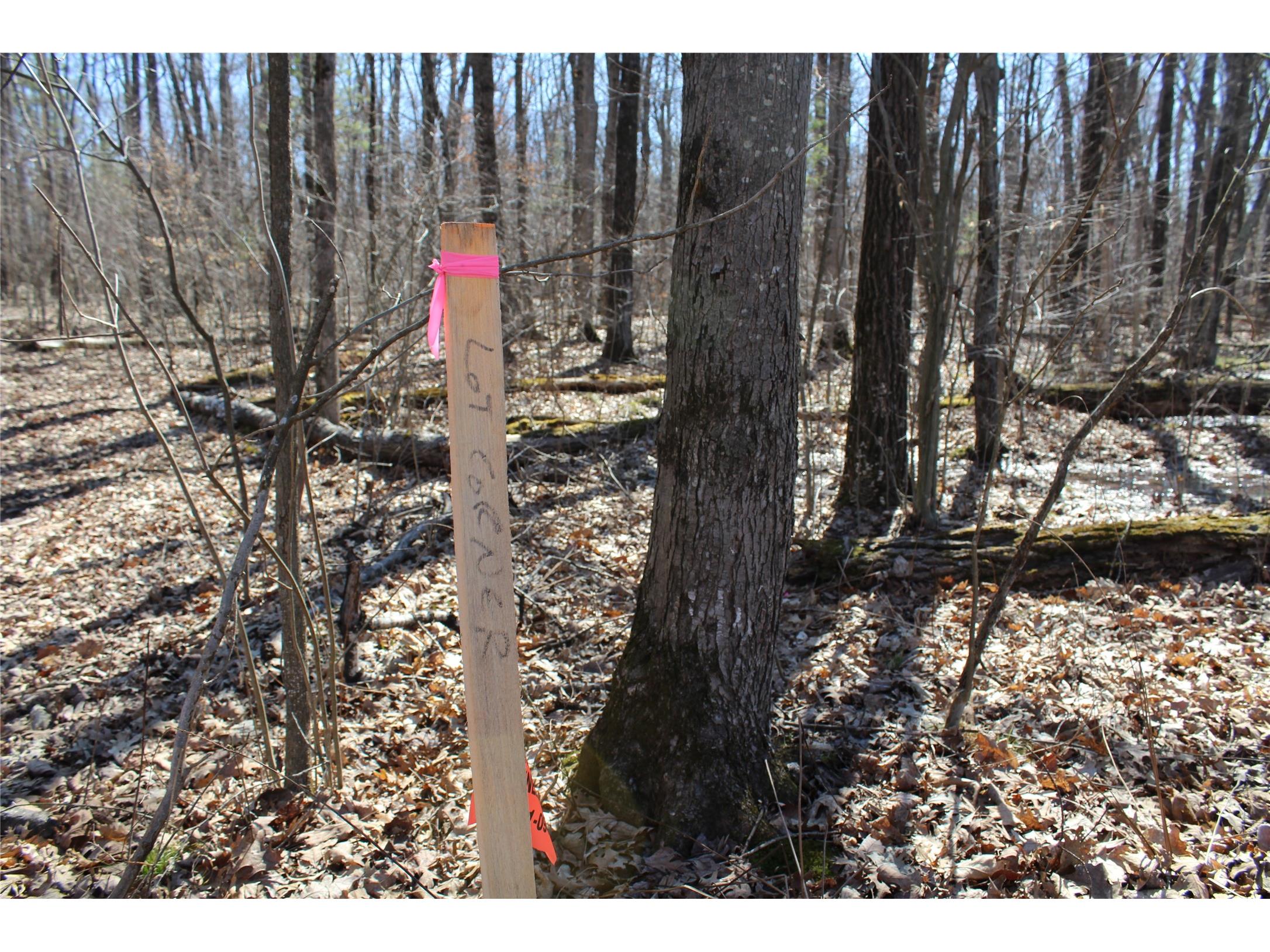 00 Resewood Ave. Lot - 3 Neillsville WI 54456 - BLACK RIVER 1599887 image5