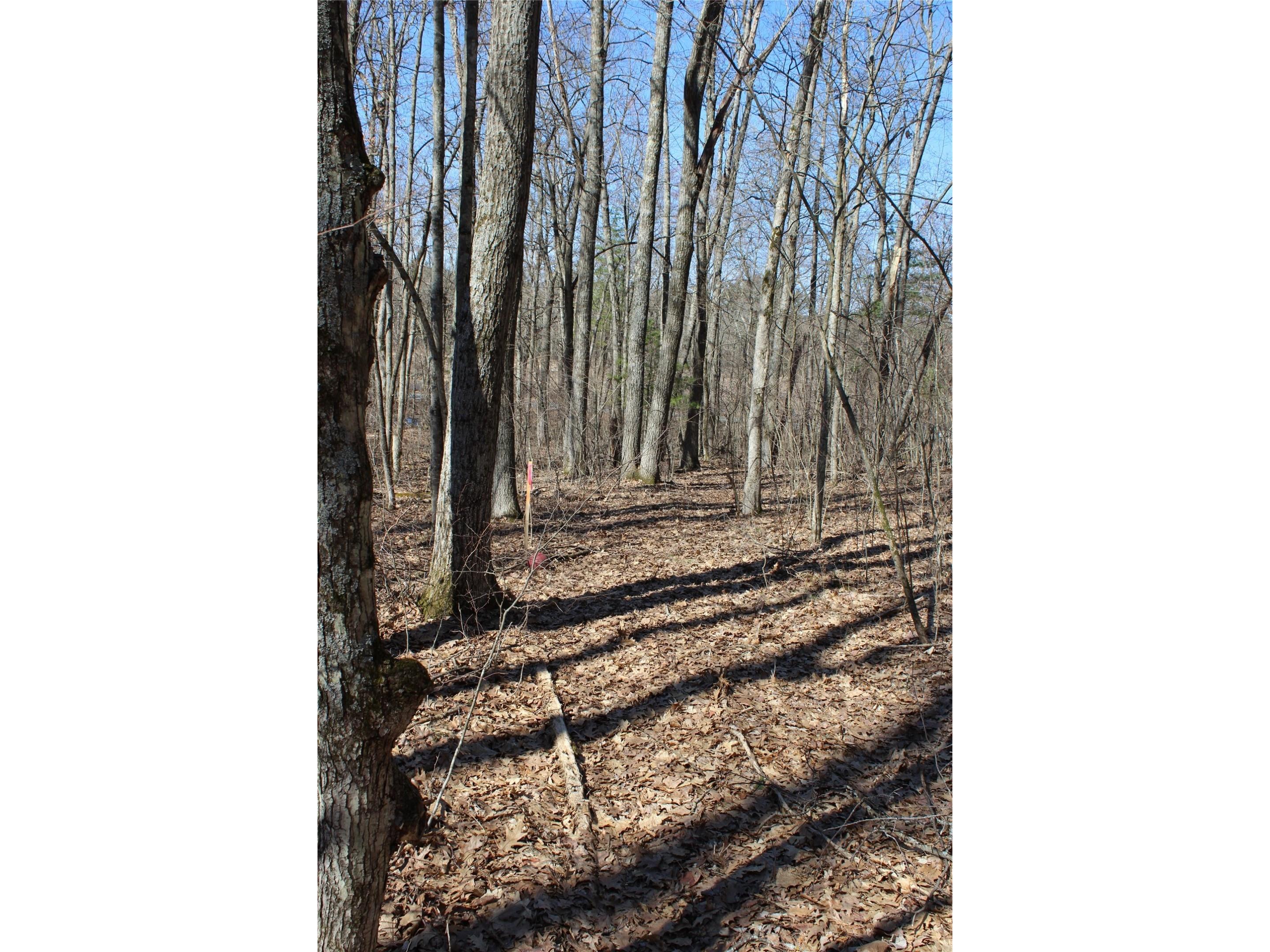 00 Resewood Ave. Lot - 3 Neillsville WI 54456 - BLACK RIVER 1599887 image8
