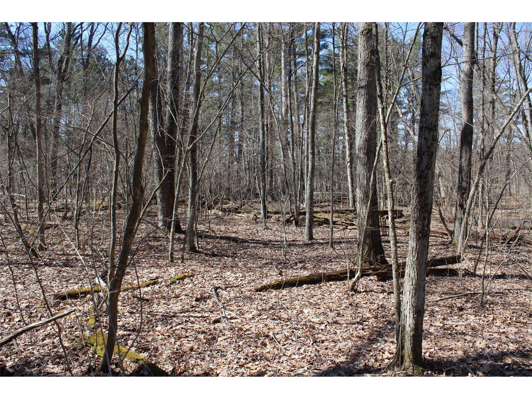00 Resewood Ave. - Lot 4 Neillsville WI 54456 - BLACK RIVER 1599883 image1