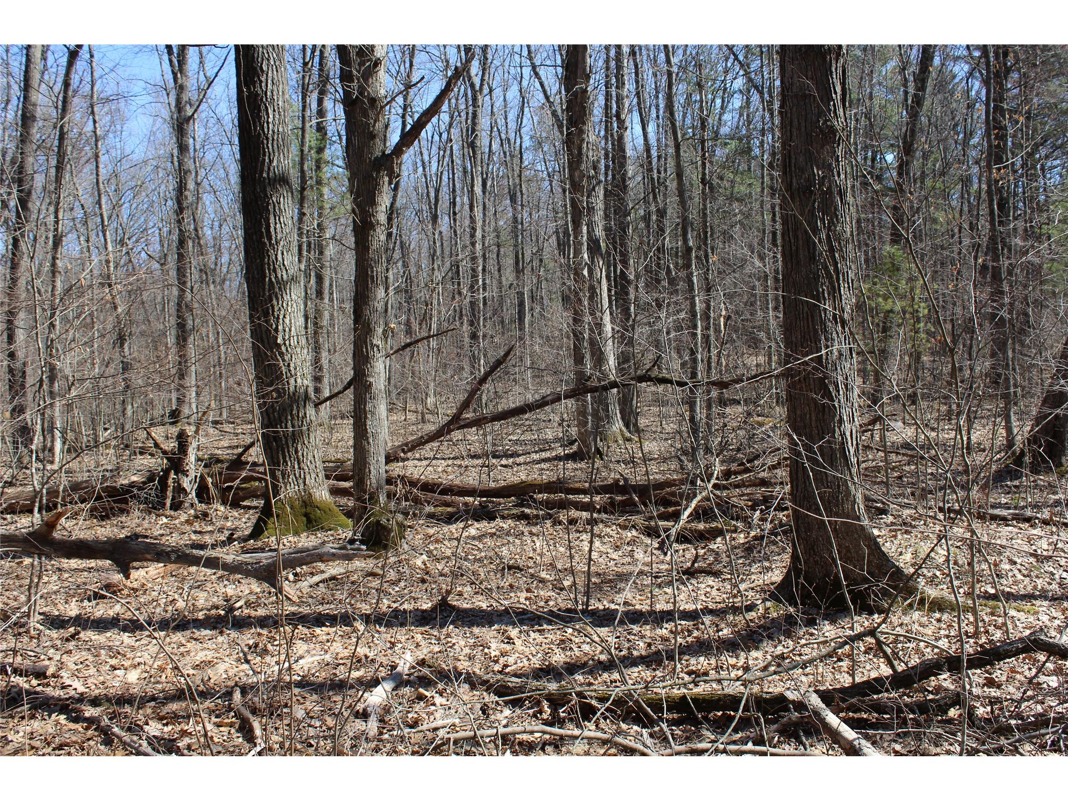 00 Resewood Ave. - Lot 4 Neillsville WI 54456 - BLACK RIVER 1599883 image13