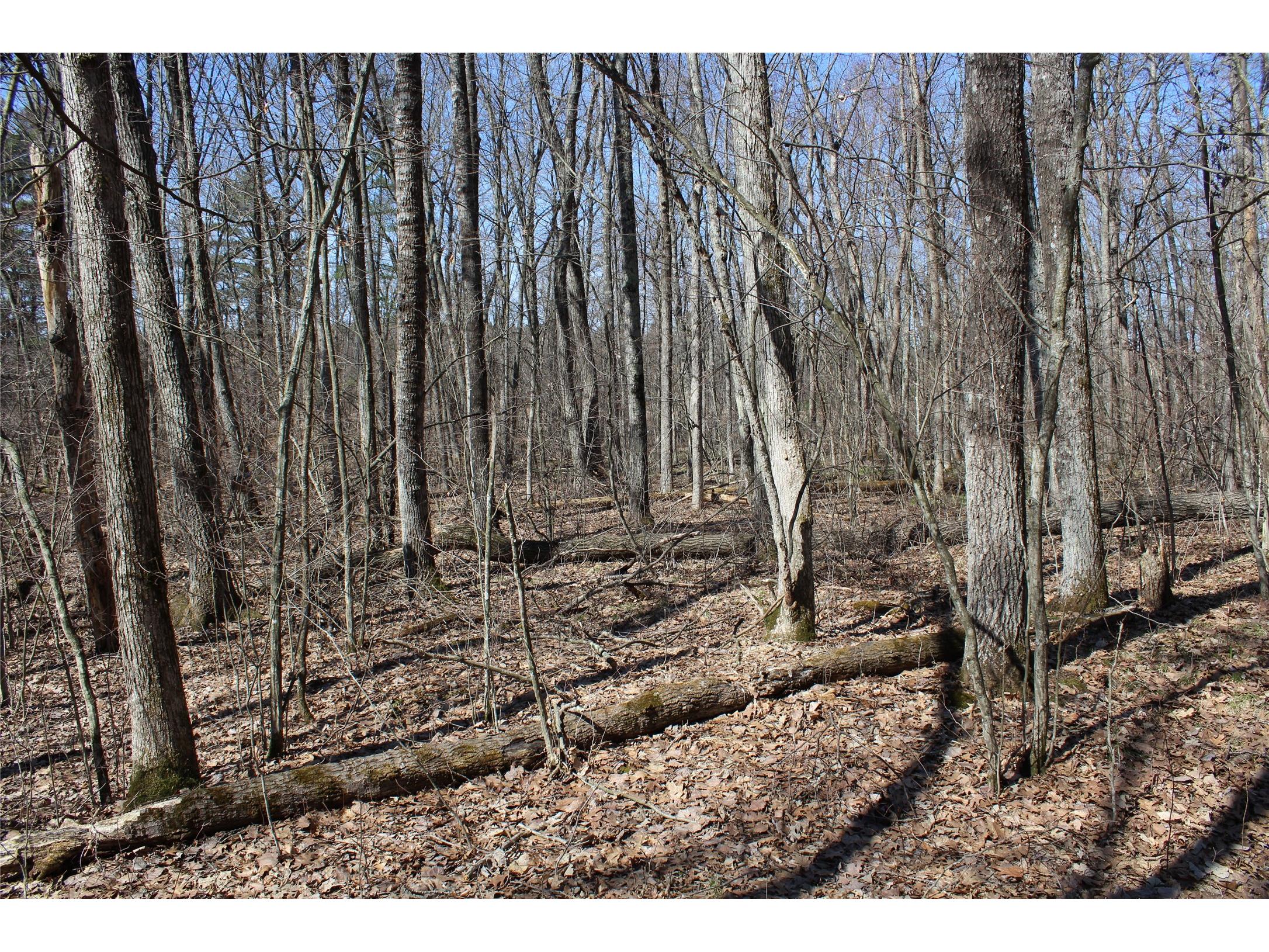 00 Resewood Ave. - Lot 4 Neillsville WI 54456 - BLACK RIVER 1599883 image14