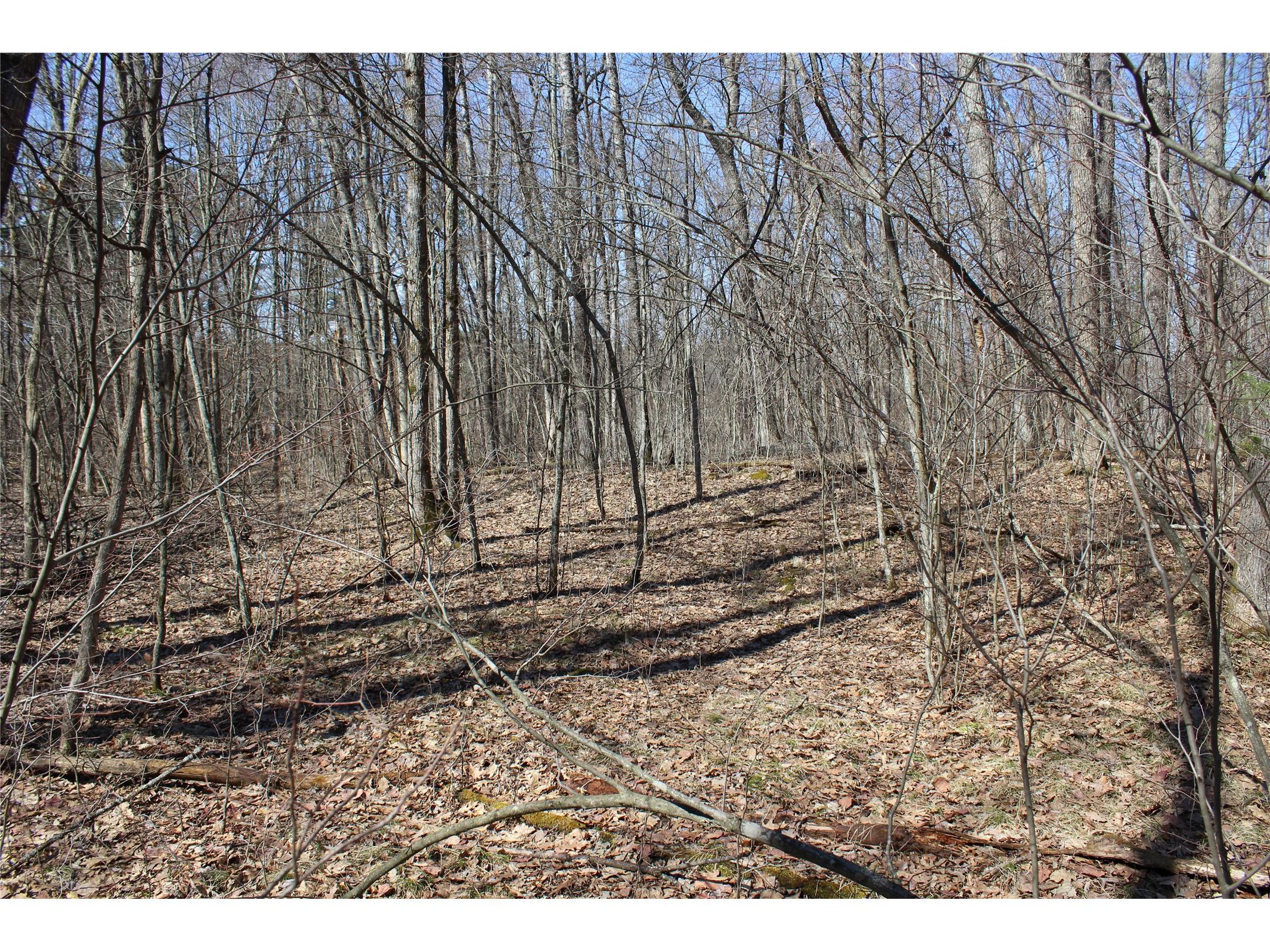 00 Resewood Ave. - Lot 4 Neillsville WI 54456 - BLACK RIVER 1599883 image15