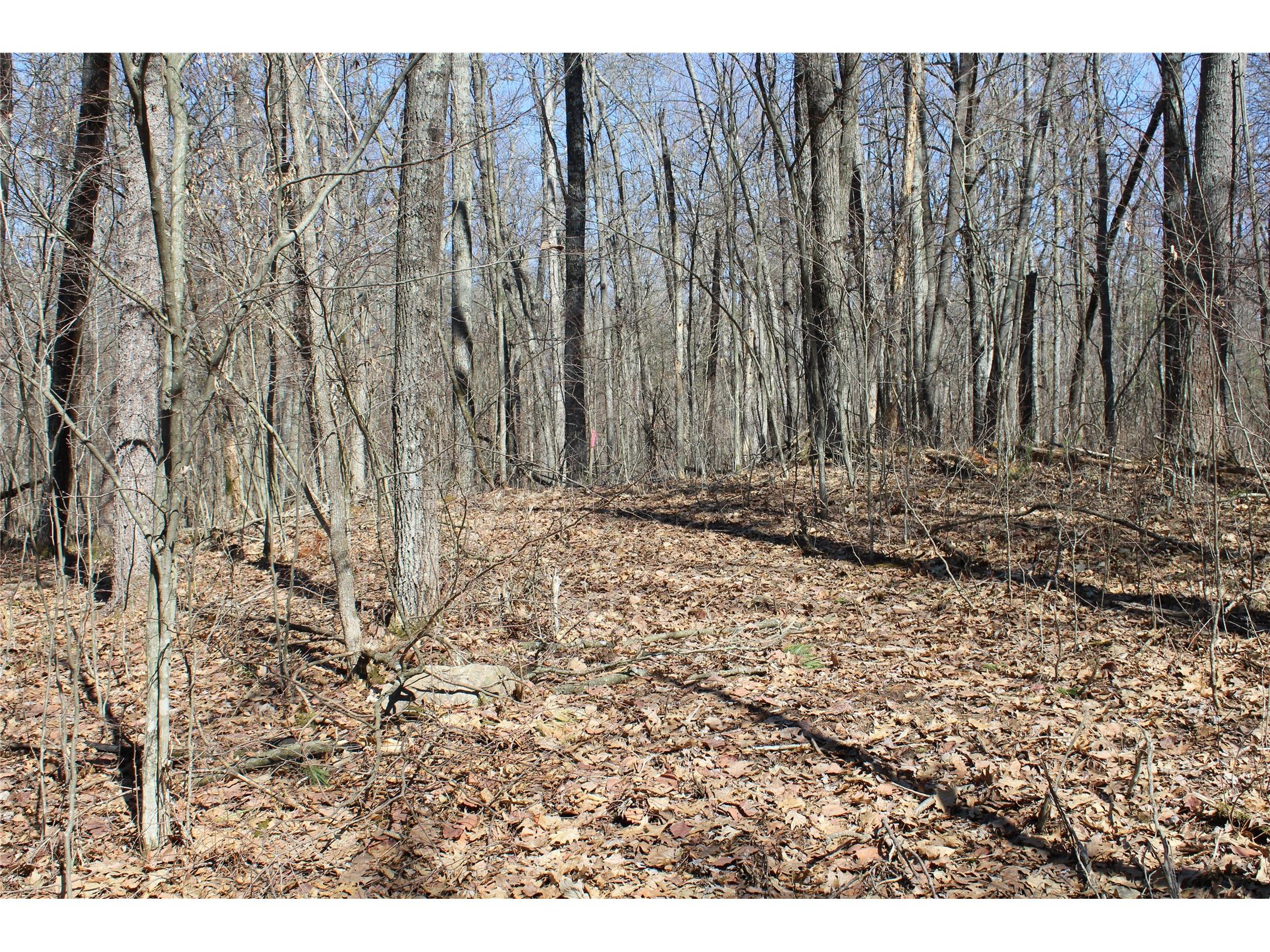00 Resewood Ave. - Lot 4 Neillsville WI 54456 - BLACK RIVER 1599883 image16