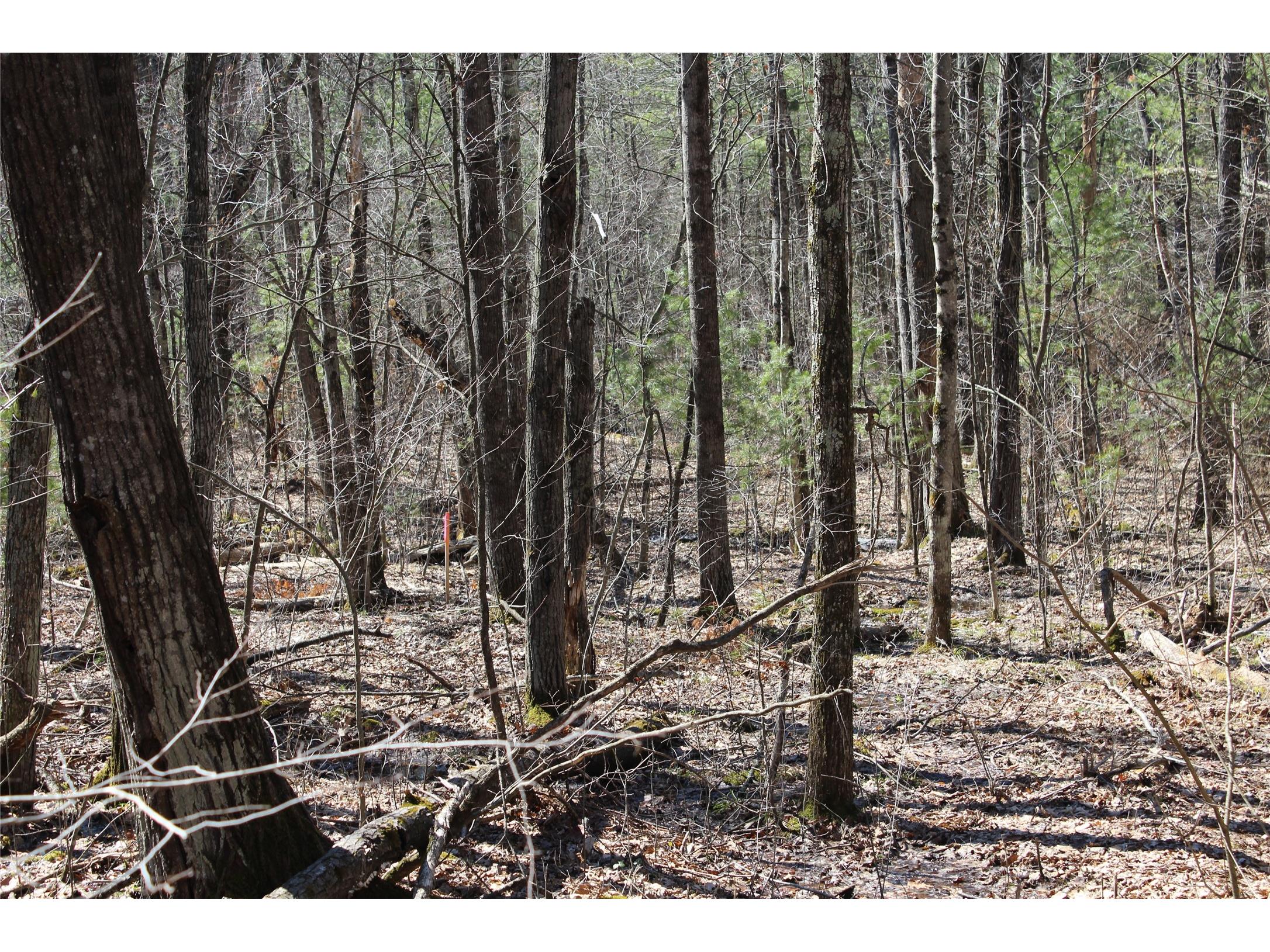 00 Resewood Ave. - Lot 4 Neillsville WI 54456 - BLACK RIVER 1599883 image17