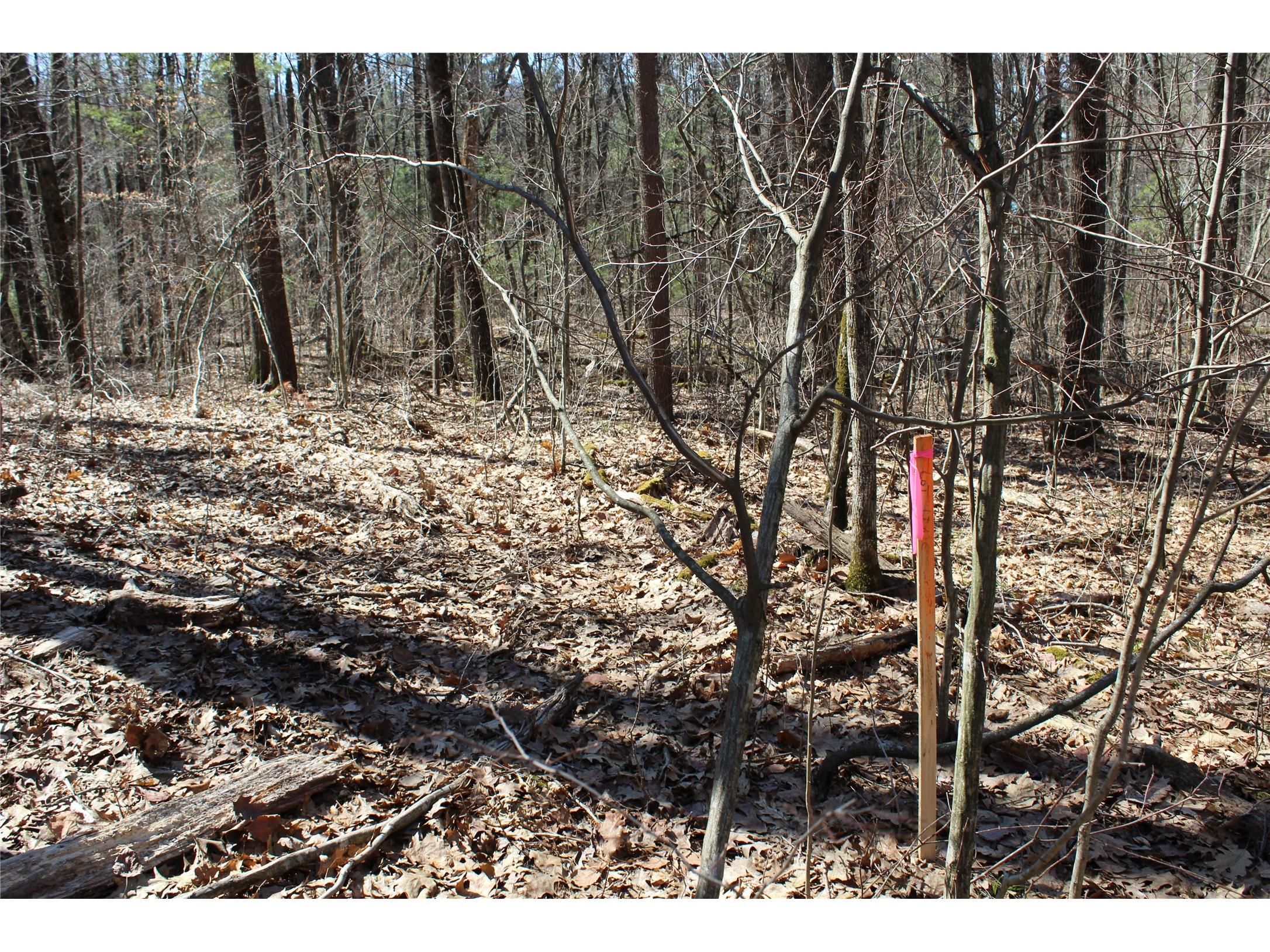 00 Resewood Ave. - Lot 4 Neillsville WI 54456 - BLACK RIVER 1599883 image18