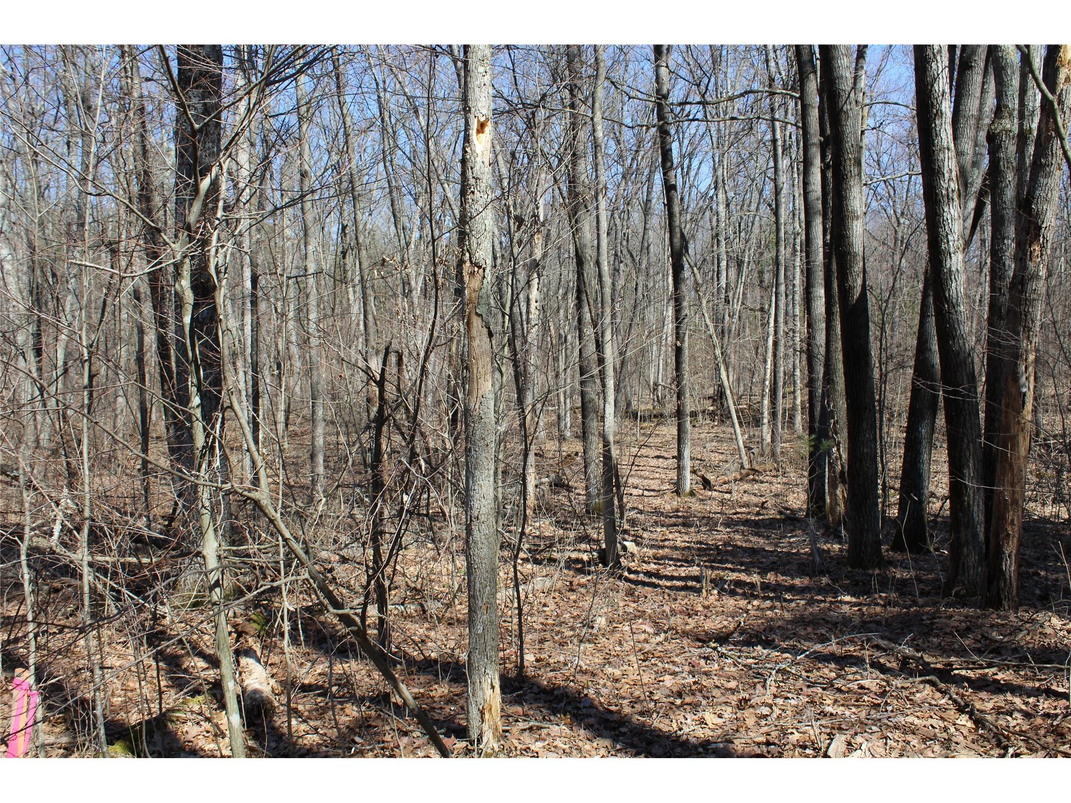 00 Resewood Ave. - Lot 4 Neillsville WI 54456 - BLACK RIVER 1599883 image19