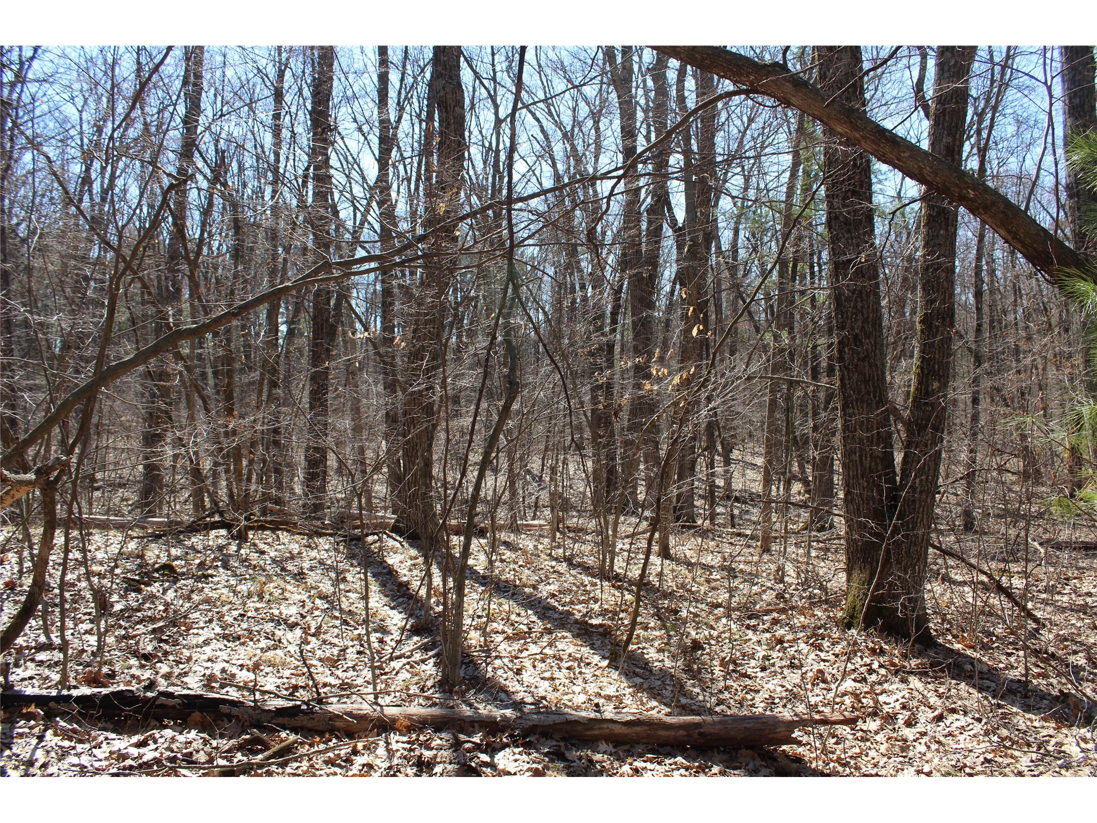 00 Resewood Ave. - Lot 4 Neillsville WI 54456 - BLACK RIVER 1599883 image3