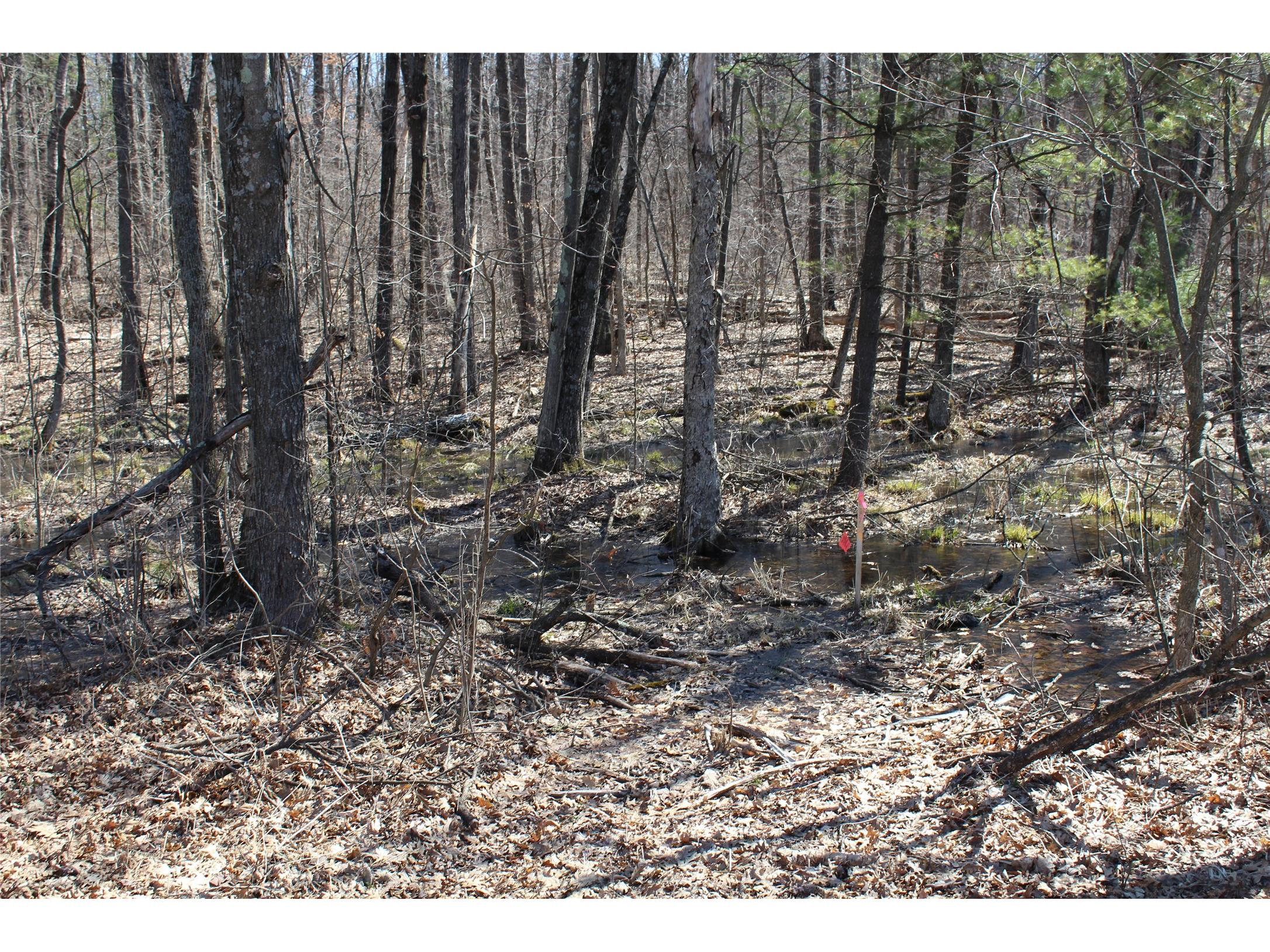 00 Resewood Ave. - Lot 4 Neillsville WI 54456 - BLACK RIVER 1599883 image5
