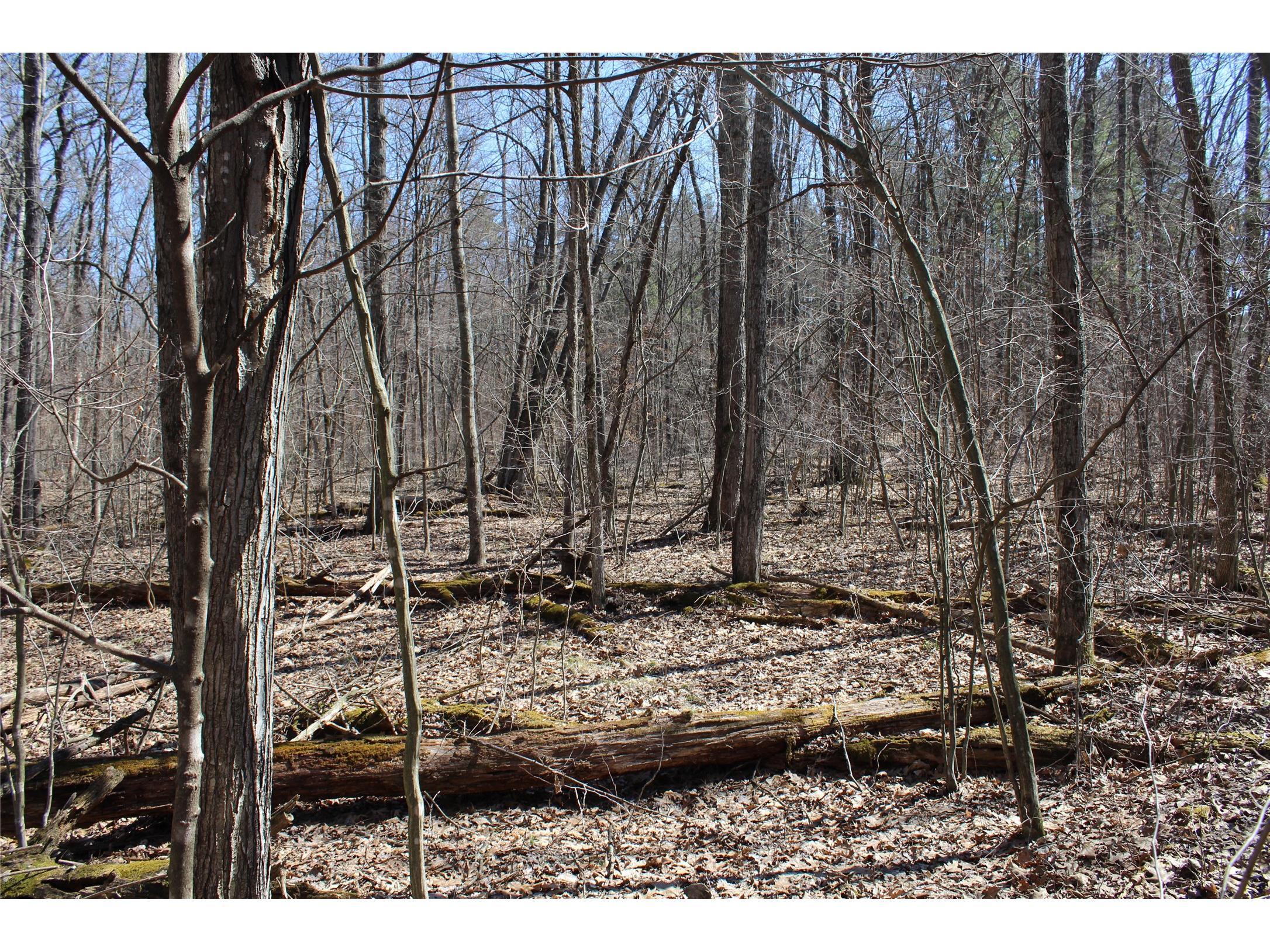 00 Resewood Ave. - Lot 4 Neillsville WI 54456 - BLACK RIVER 1599883 image6