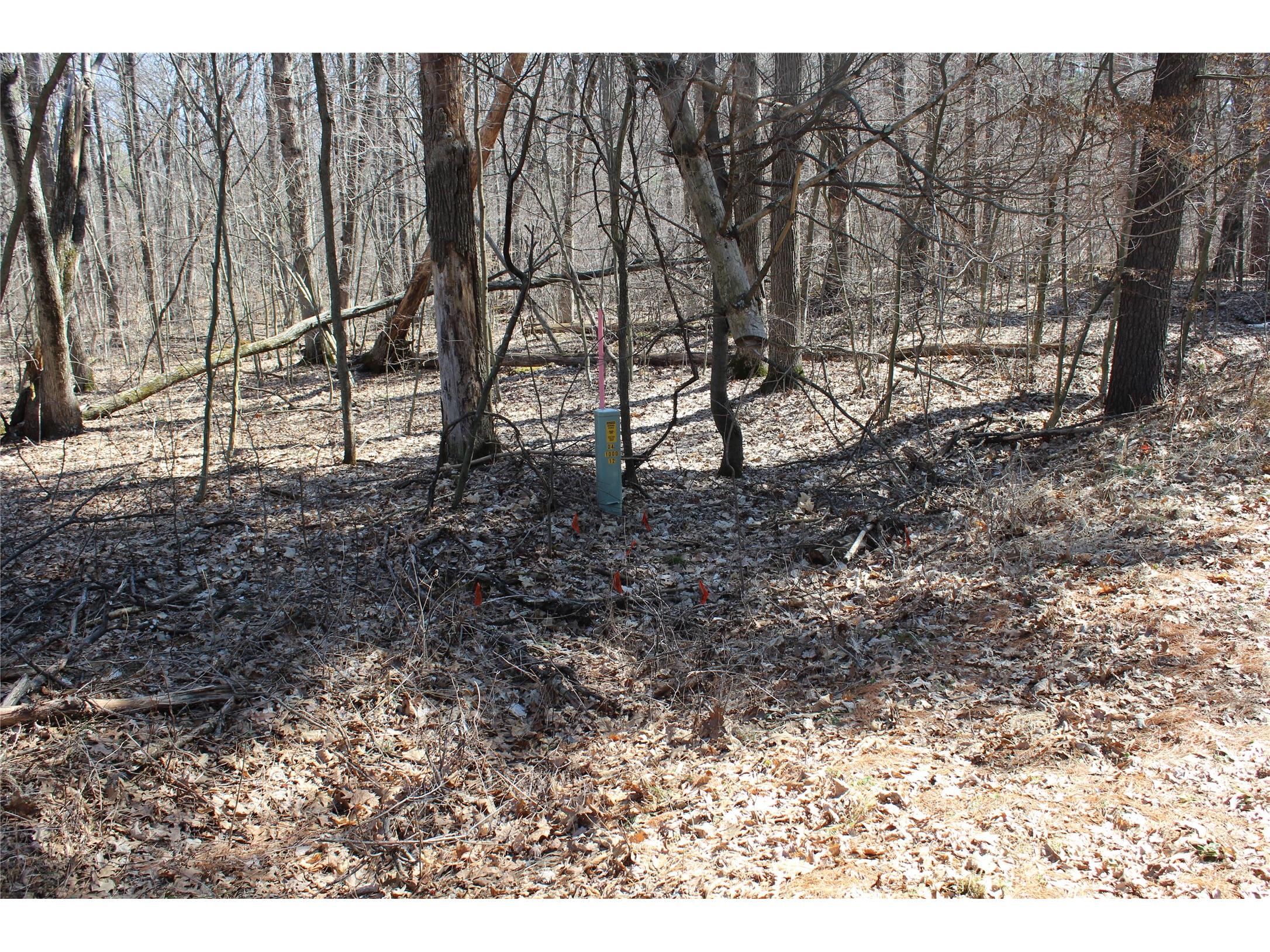 00 Resewood Ave. - Lot 4 Neillsville WI 54456 - BLACK RIVER 1599883 image7
