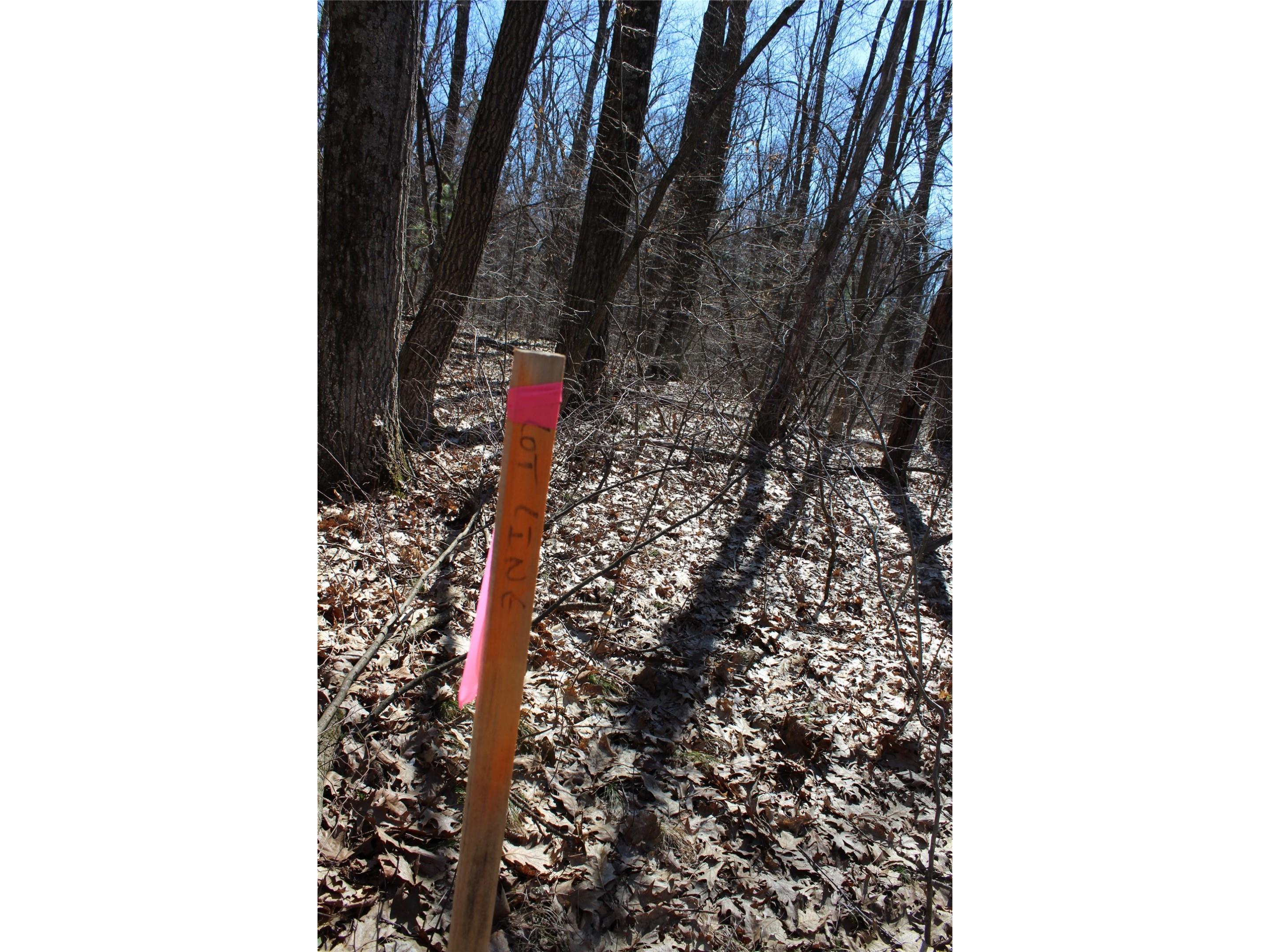 00 Resewood Ave. - Lot 4 Neillsville WI 54456 - BLACK RIVER 1599883 image8