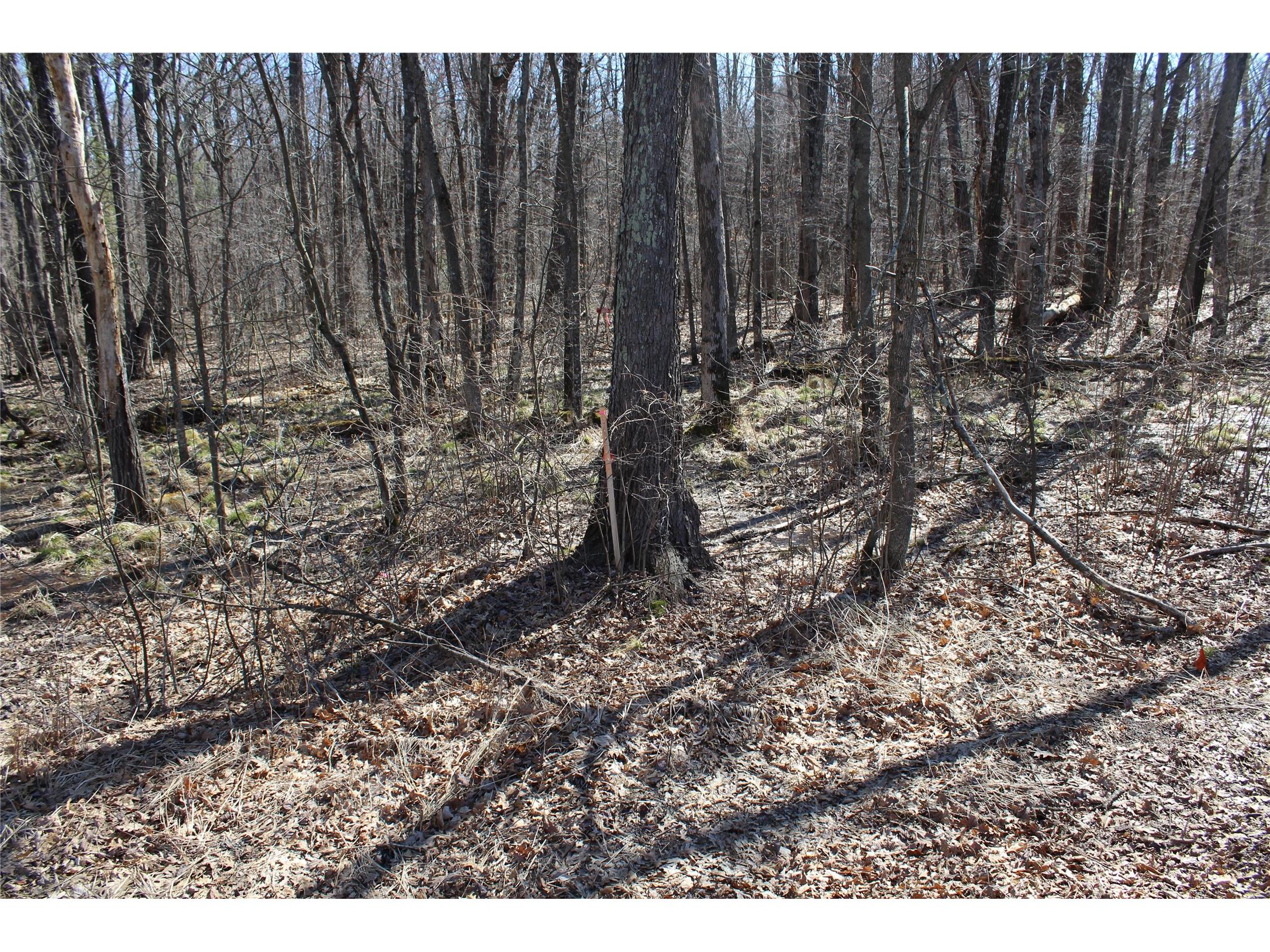 00 Resewood Ave. - Lot 4 Neillsville WI 54456 - BLACK RIVER 1599883 image9
