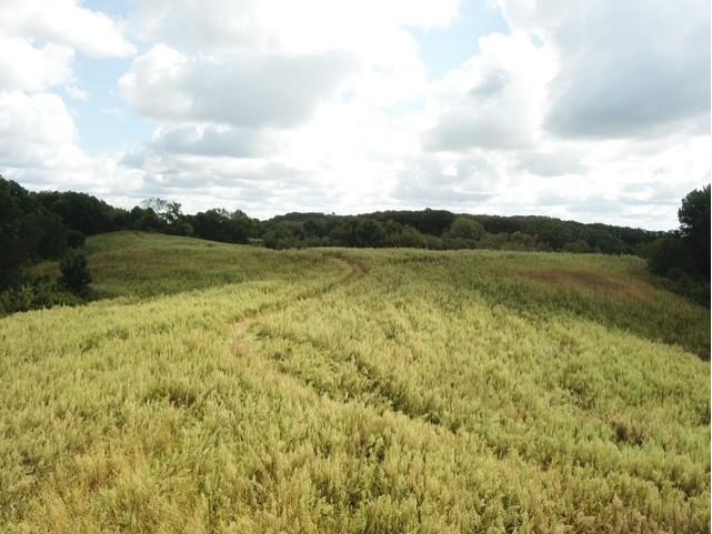 00 Roningen Road Black River Falls WI 54615 1595881 image15