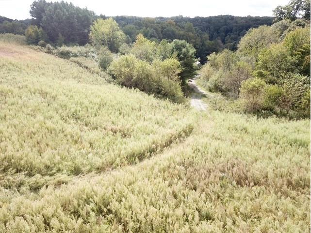 00 Roningen Road Black River Falls WI 54615 1595881 image17