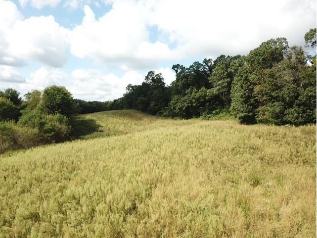 00 Roningen Road Black River Falls WI 54615 1595881 image2