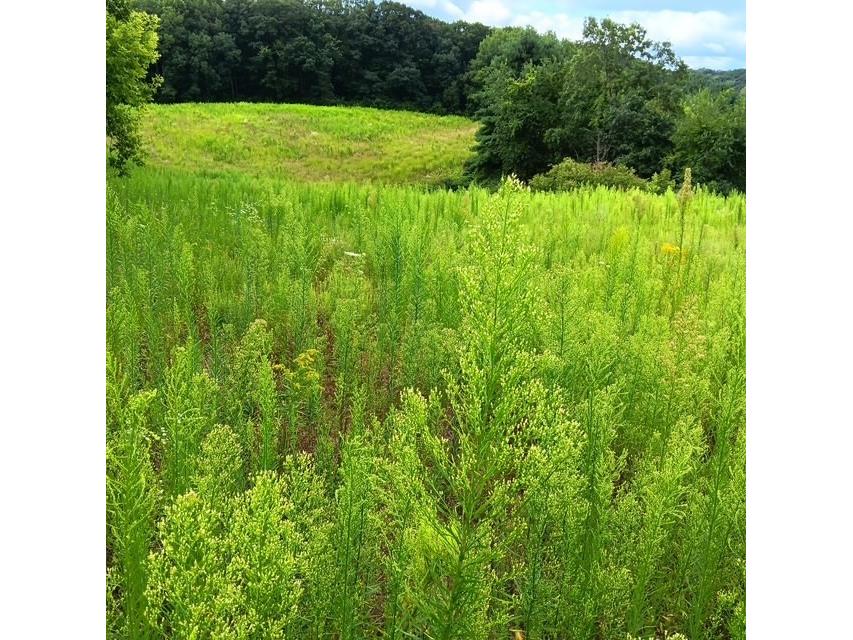 00 Roningen Road Black River Falls WI 54615 1595881 image8