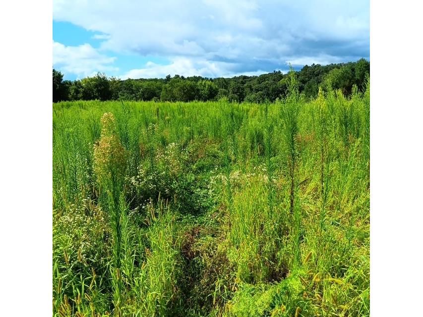 00 Roningen Road Black River Falls WI 54615 1595881 image9