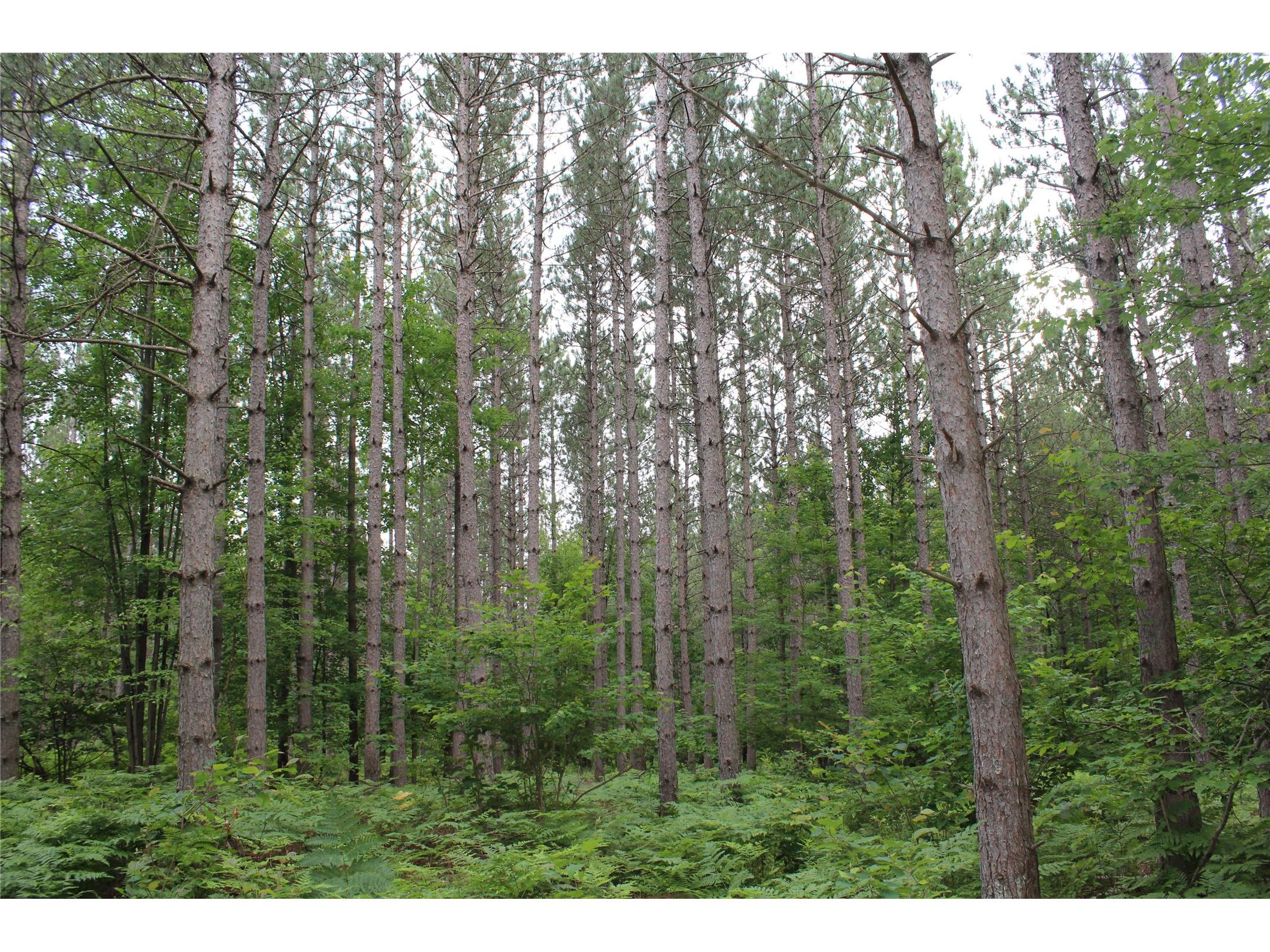 00 Rouse Road Neillsville WI 54456 1602316 image10