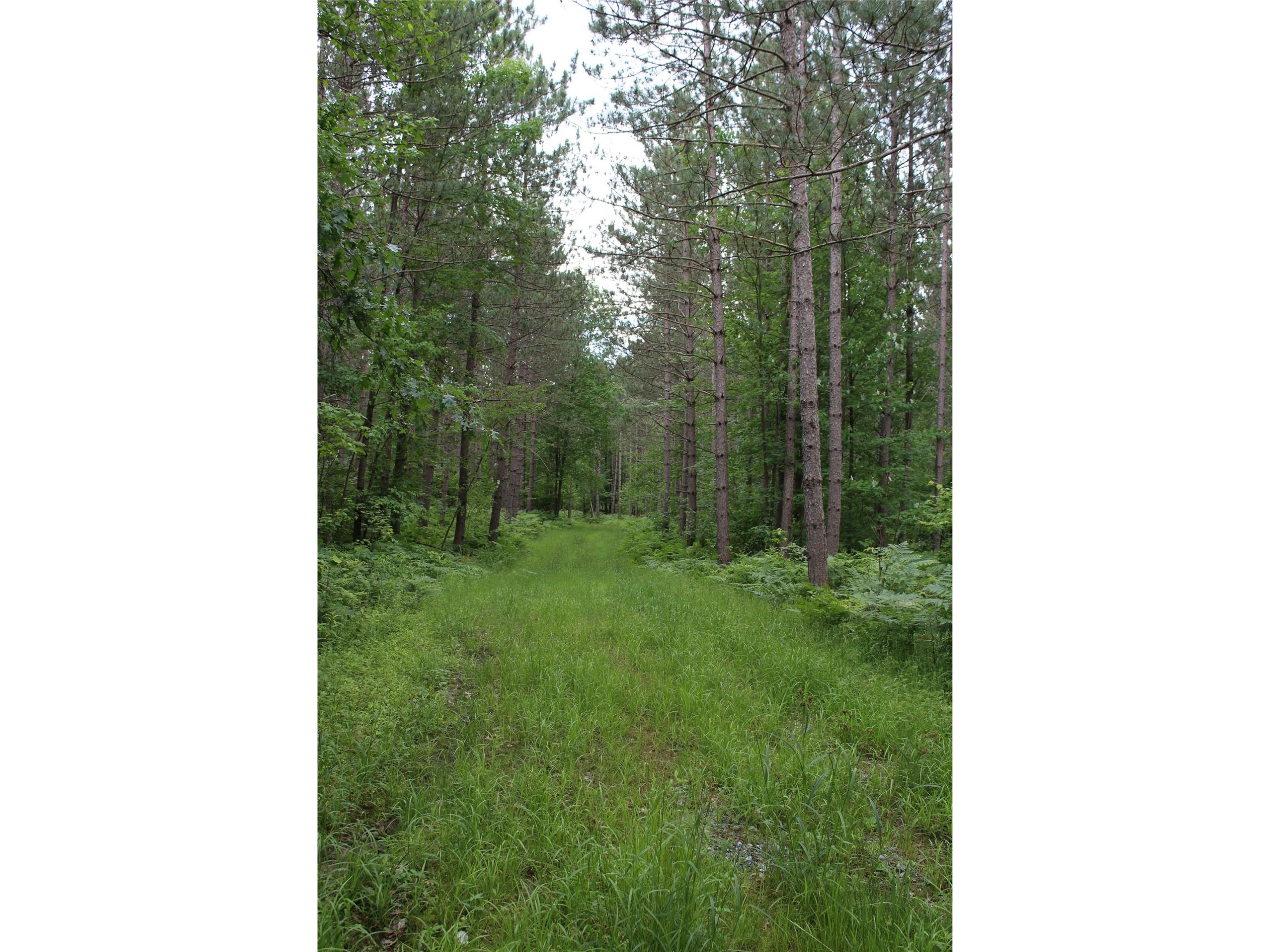 00 Rouse Road Neillsville WI 54456 1602316 image11