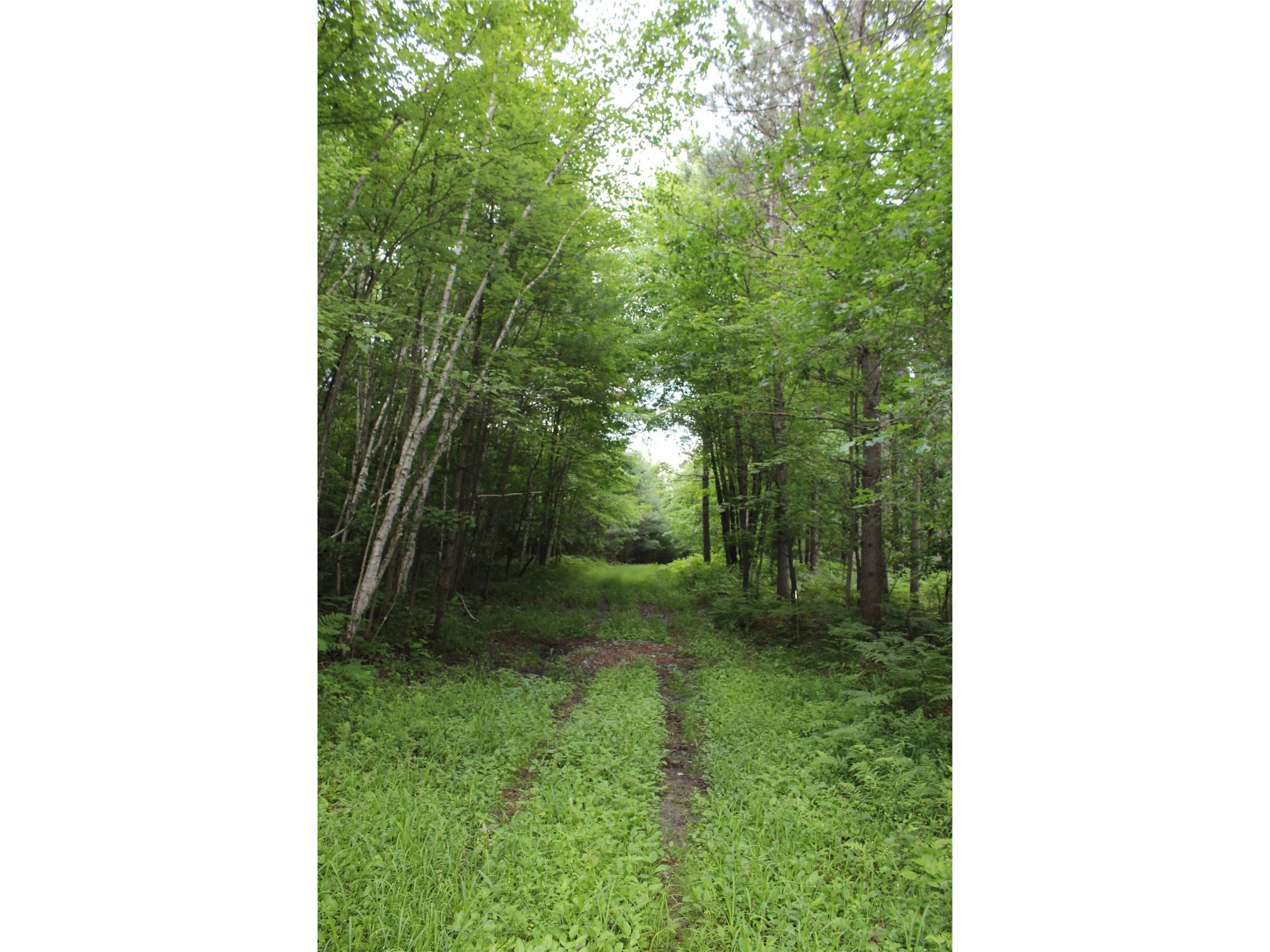 00 Rouse Road Neillsville WI 54456 1602316 image12