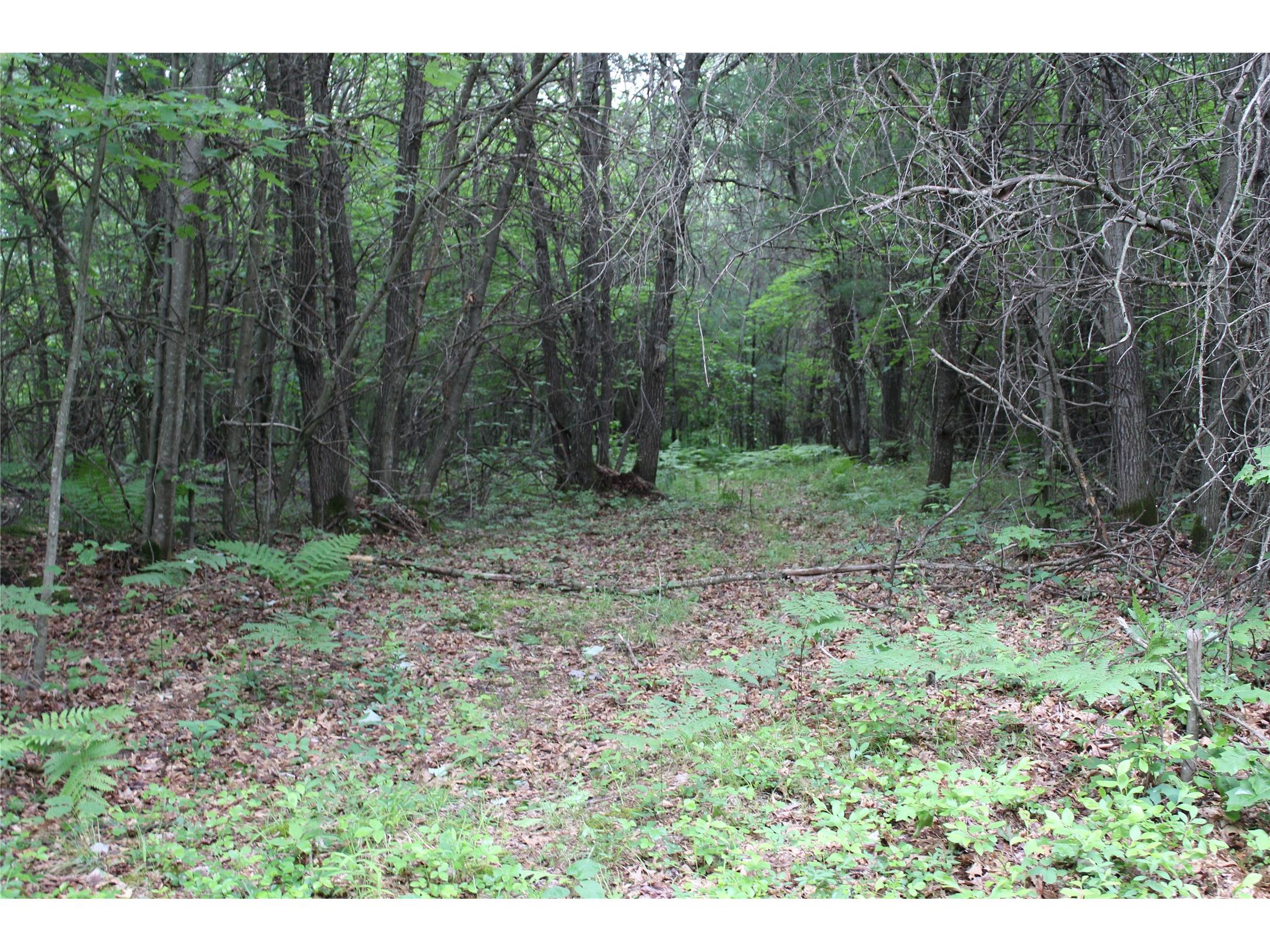 00 Rouse Road Neillsville WI 54456 1602316 image14