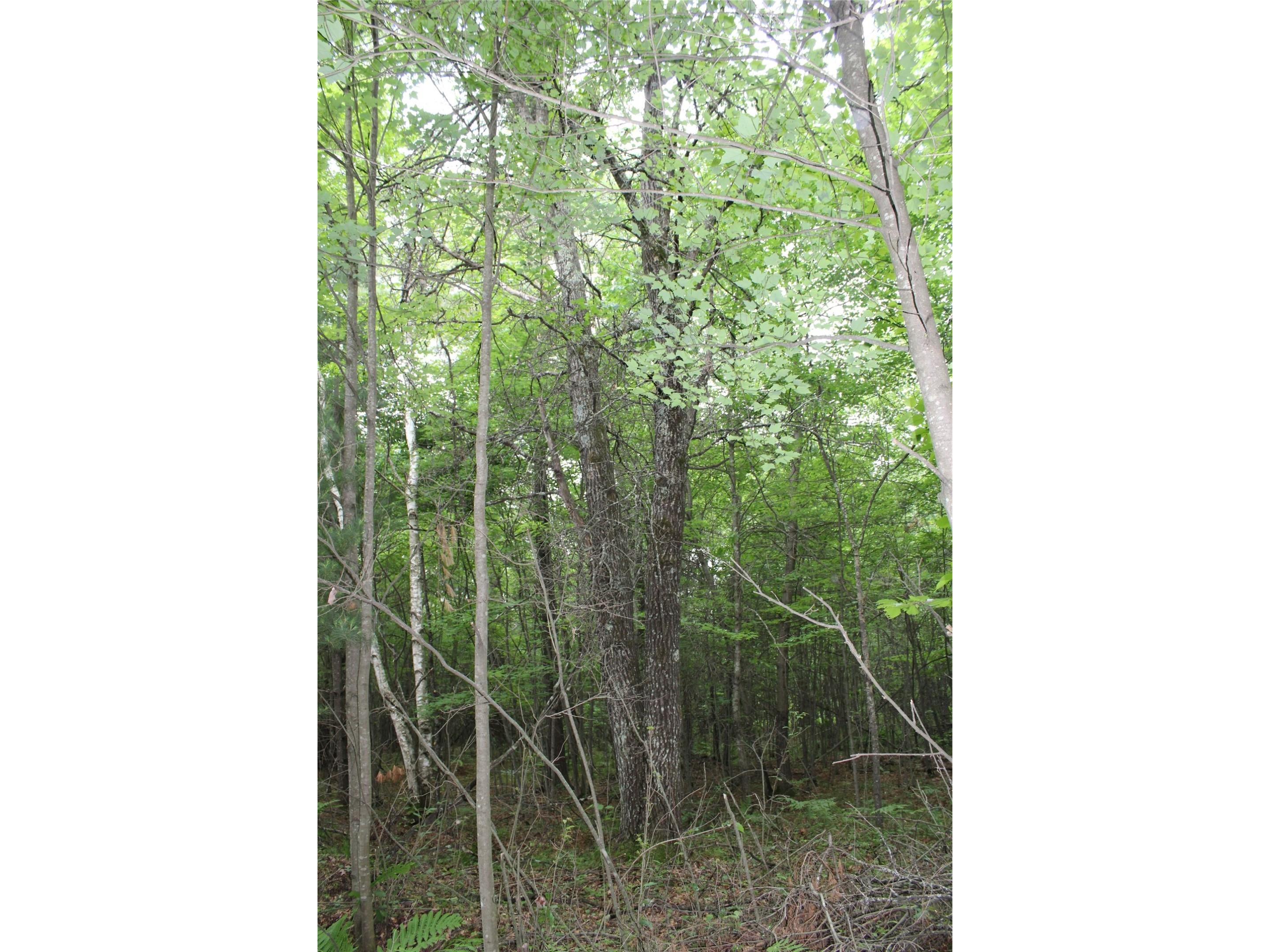 00 Rouse Road Neillsville WI 54456 1602316 image15