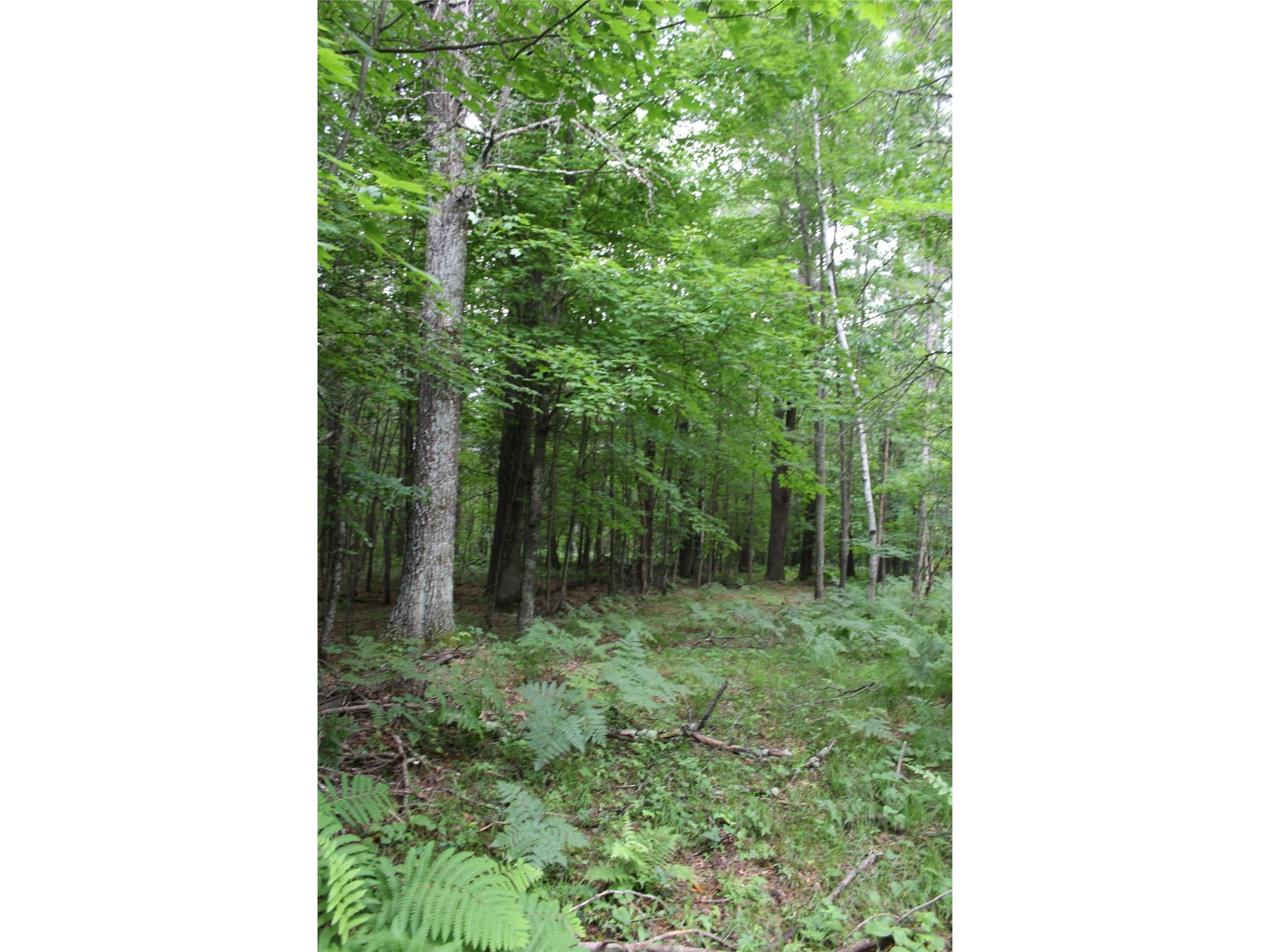 00 Rouse Road Neillsville WI 54456 1602316 image16