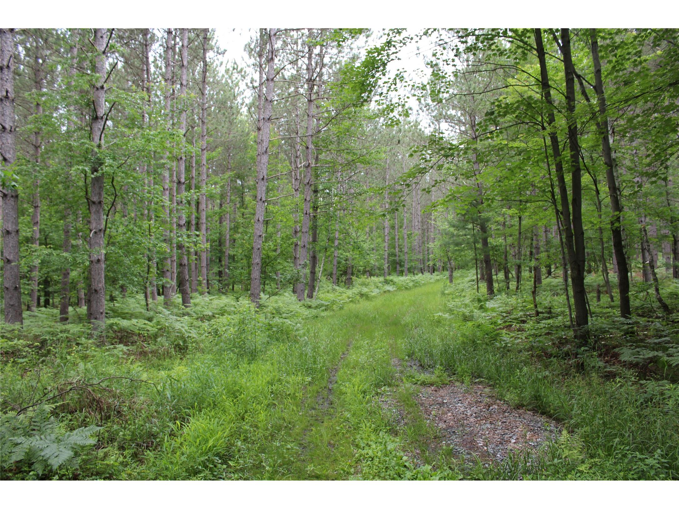 00 Rouse Road Neillsville WI 54456 1602316 image18