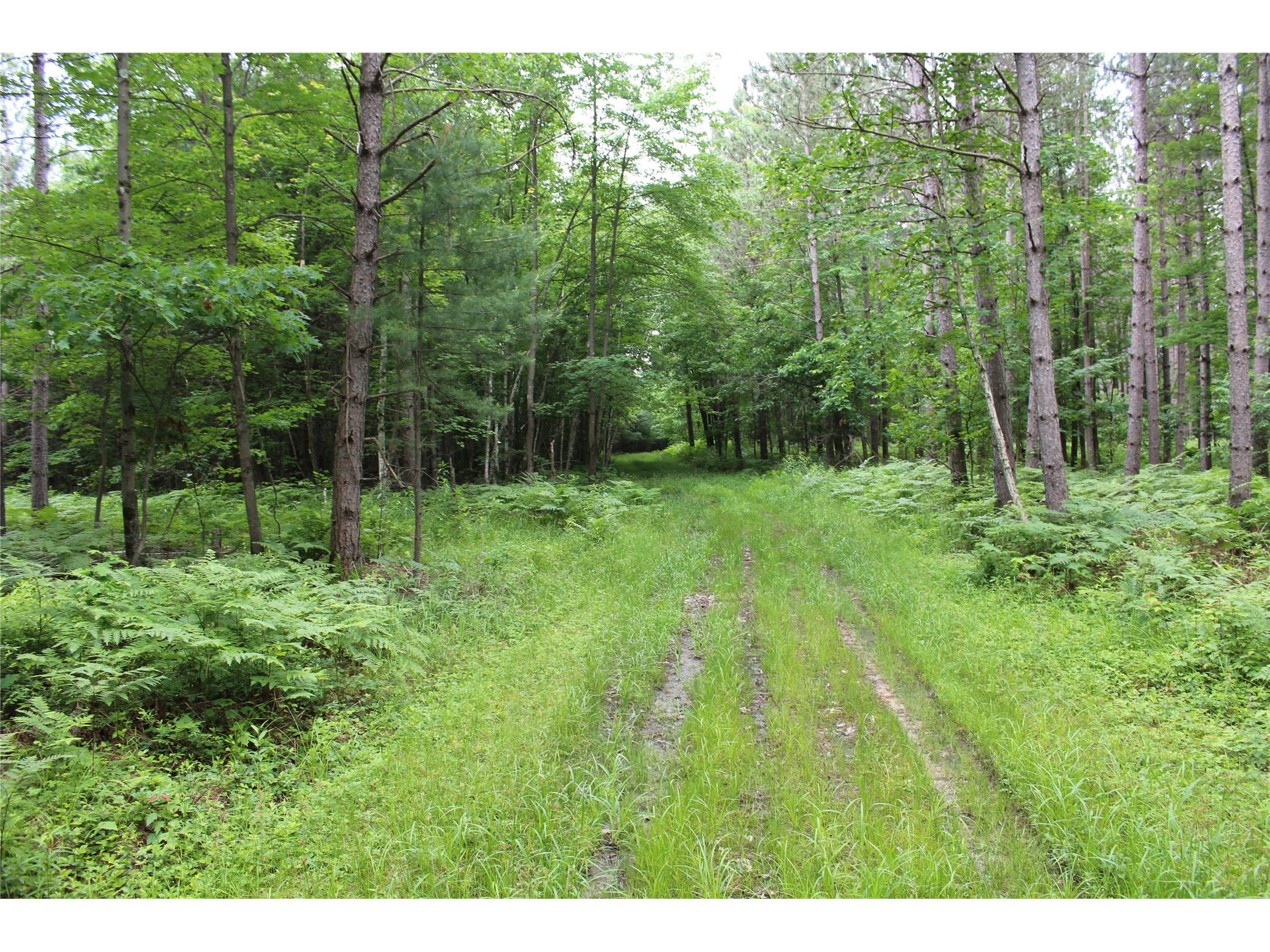 00 Rouse Road Neillsville WI 54456 1602316 image19