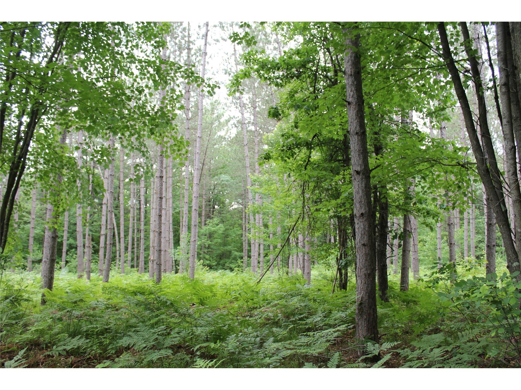 00 Rouse Road Neillsville WI 54456 1602316 image20