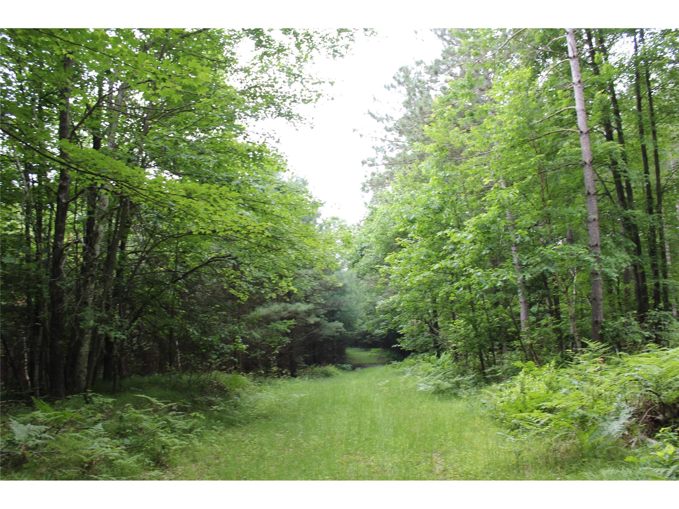 00 Rouse Road Neillsville WI 54456 1602316 image21