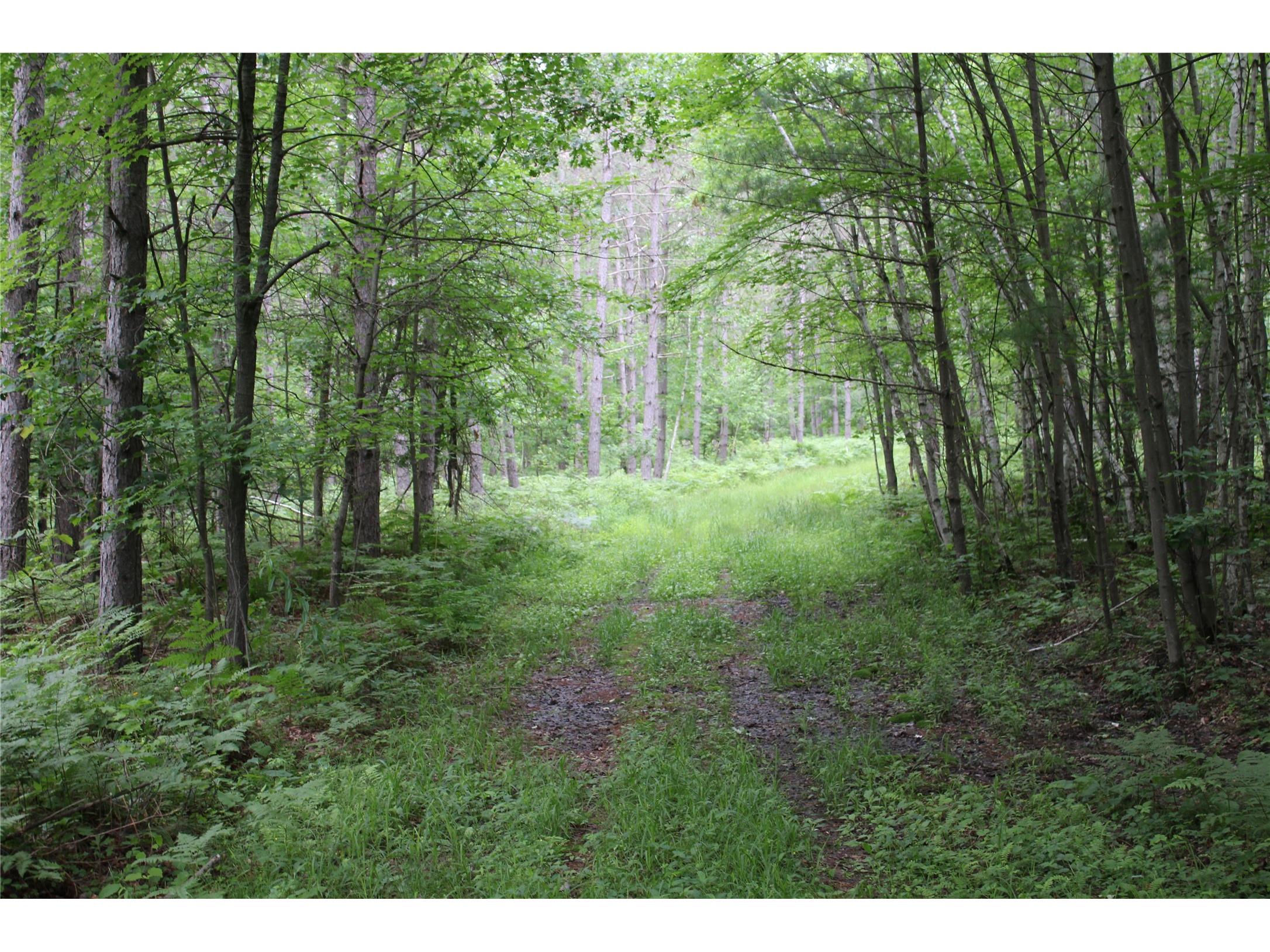 00 Rouse Road Neillsville WI 54456 1602316 image22